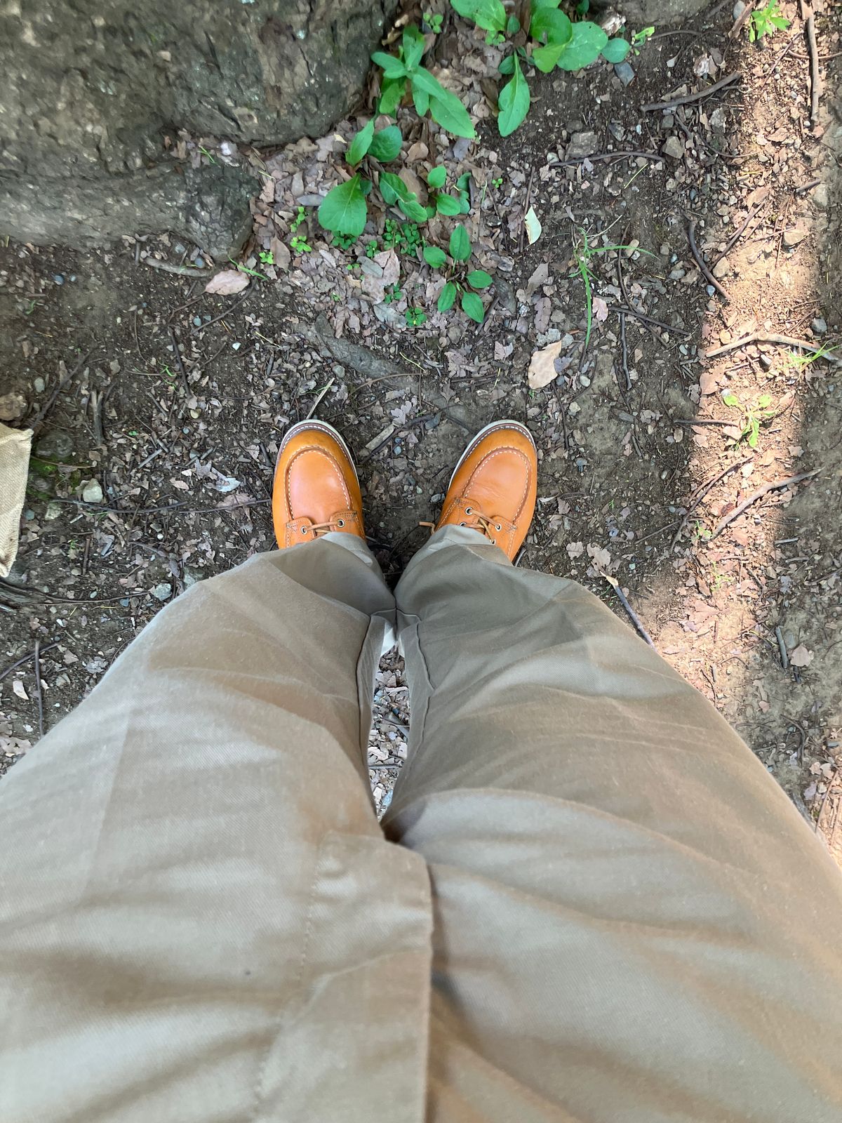 Photo by maru on June 22, 2025 of the Red Wing 6-Inch Classic Moc in S.B. Foot Sequoia Gold Russet.