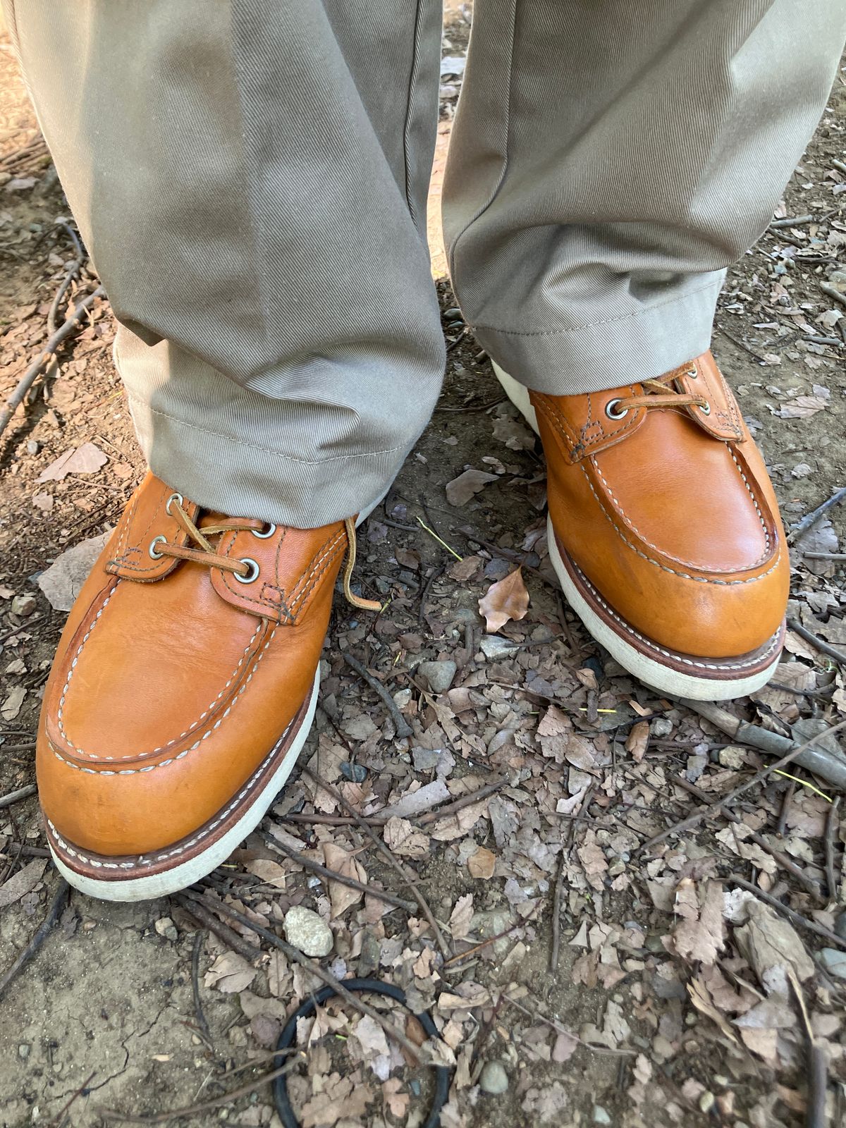 Photo by maru on June 22, 2025 of the Red Wing 6-Inch Classic Moc in S.B. Foot Sequoia Gold Russet.