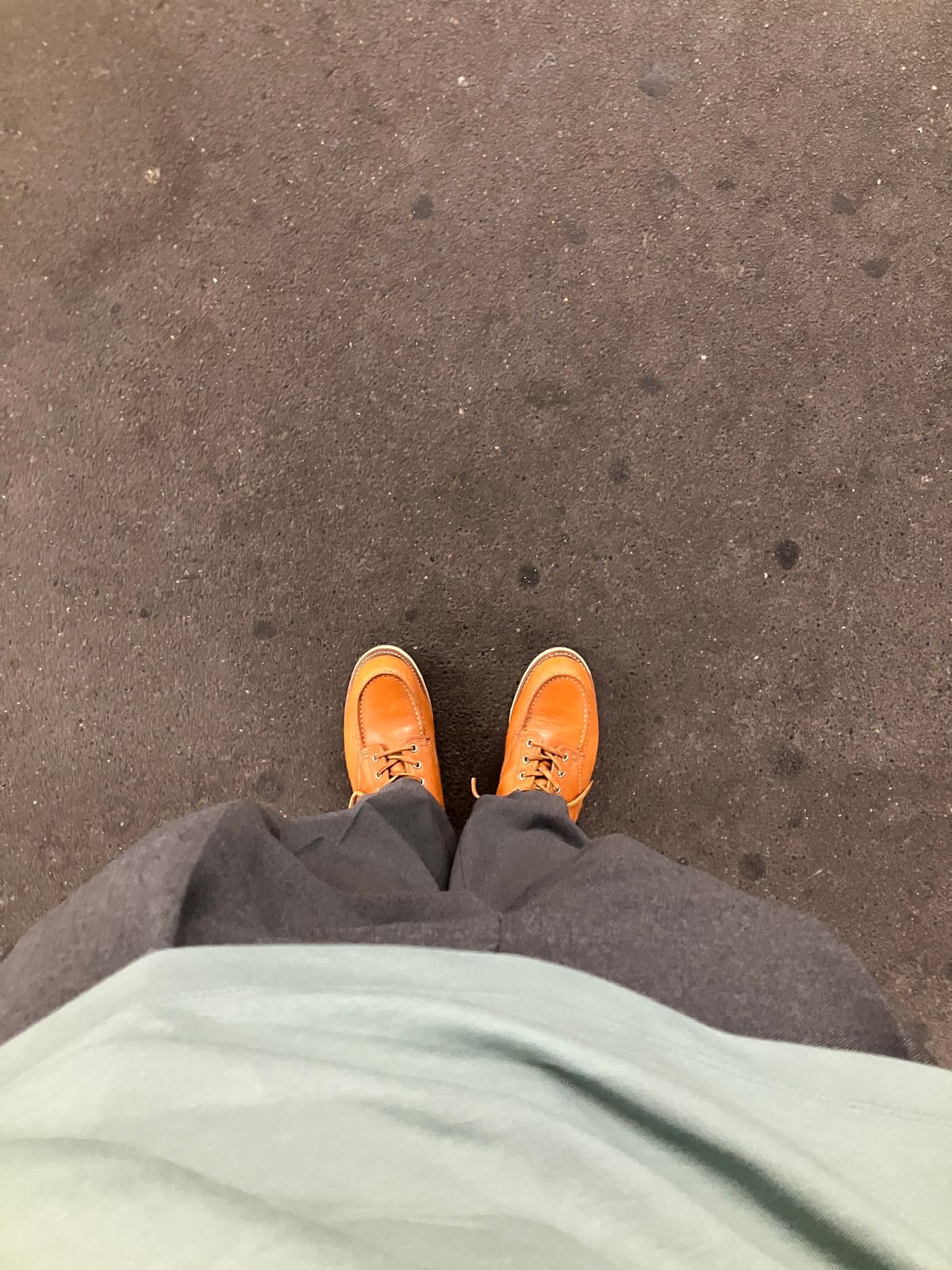 Photo by maru on June 4, 2025 of the Red Wing 6-Inch Classic Moc in S.B. Foot Sequoia Gold Russet.
