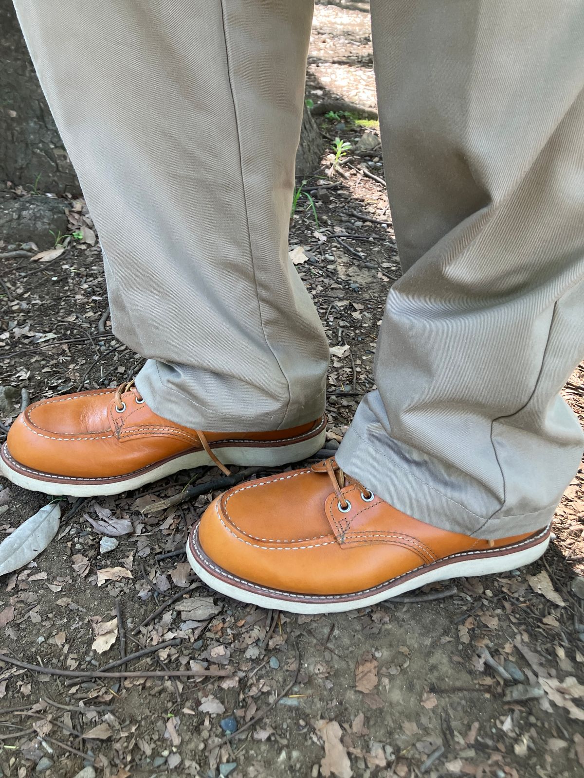 Photo by maru on June 22, 2025 of the Red Wing 6-Inch Classic Moc in S.B. Foot Sequoia Gold Russet.
