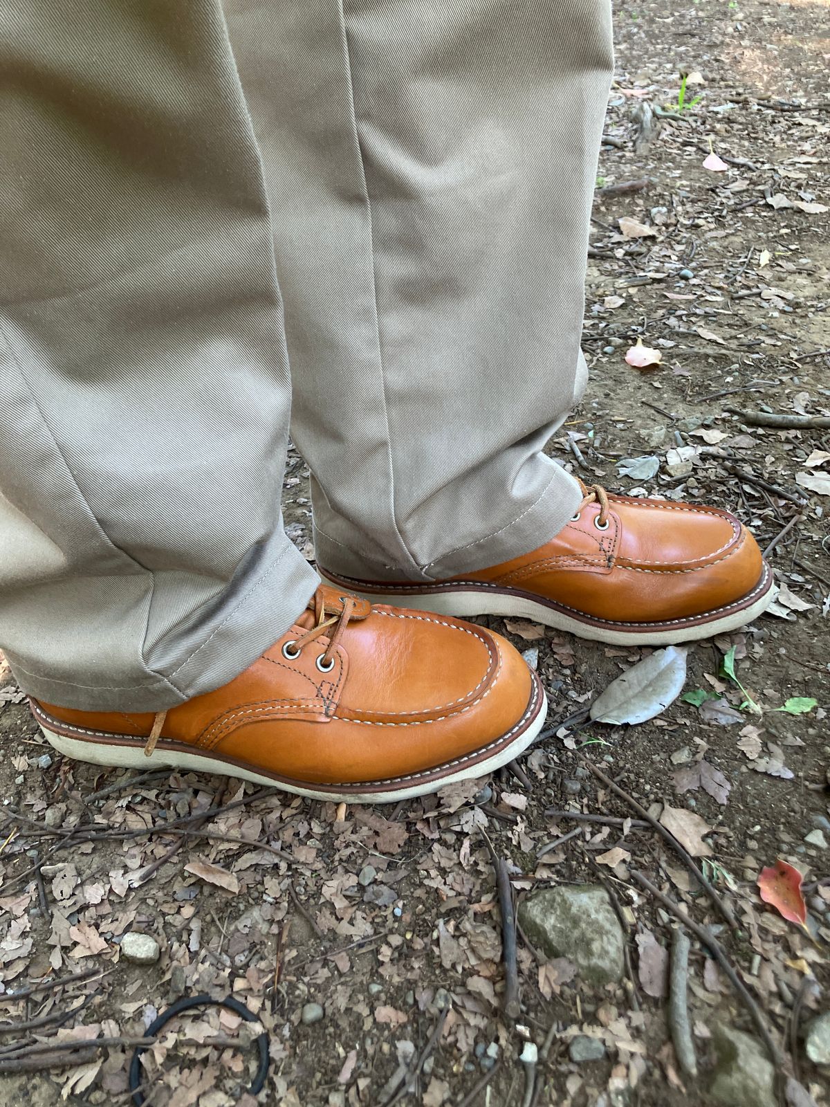 Photo by maru on June 22, 2025 of the Red Wing 6-Inch Classic Moc in S.B. Foot Sequoia Gold Russet.