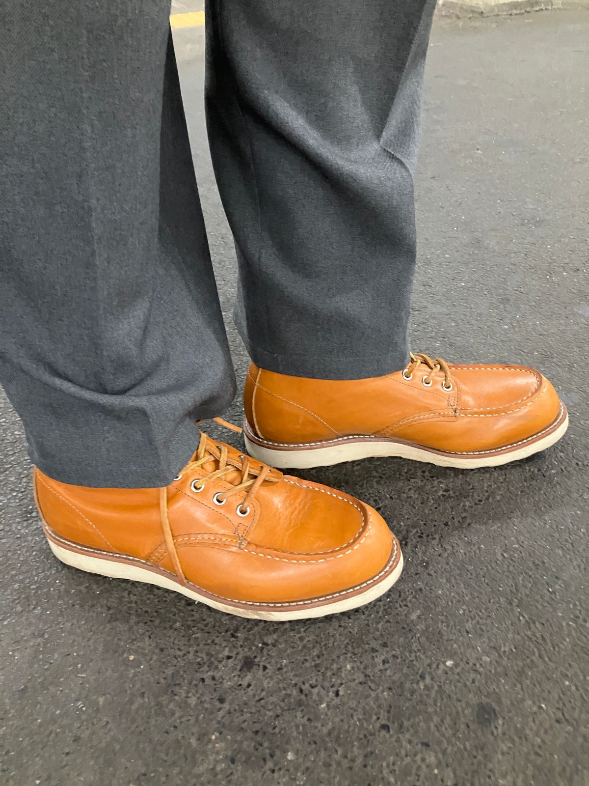 Photo by maru on June 4, 2025 of the Red Wing 6-Inch Classic Moc in S.B. Foot Sequoia Gold Russet.