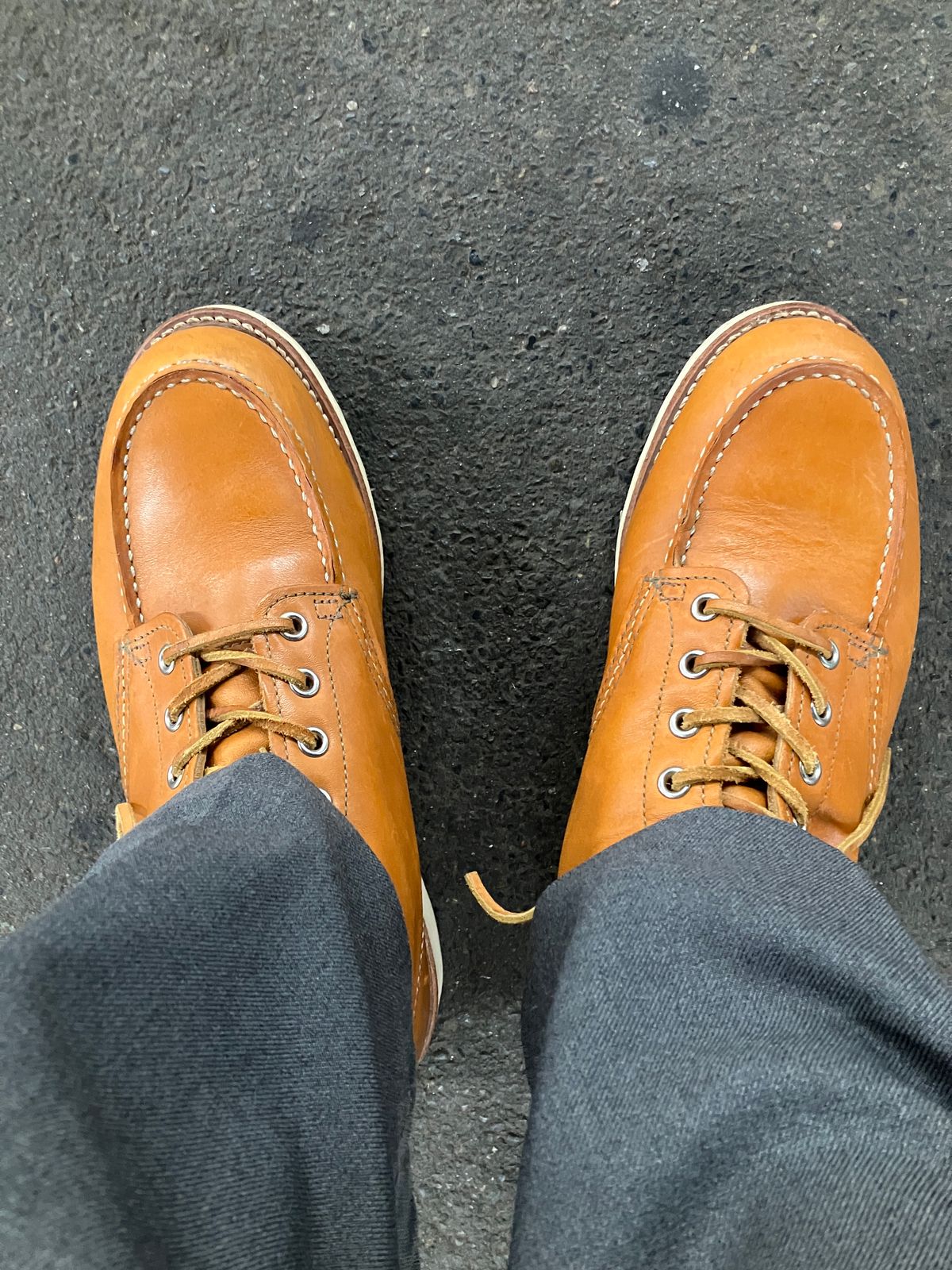 Photo by maru on June 4, 2025 of the Red Wing 6-Inch Classic Moc in S.B. Foot Sequoia Gold Russet.