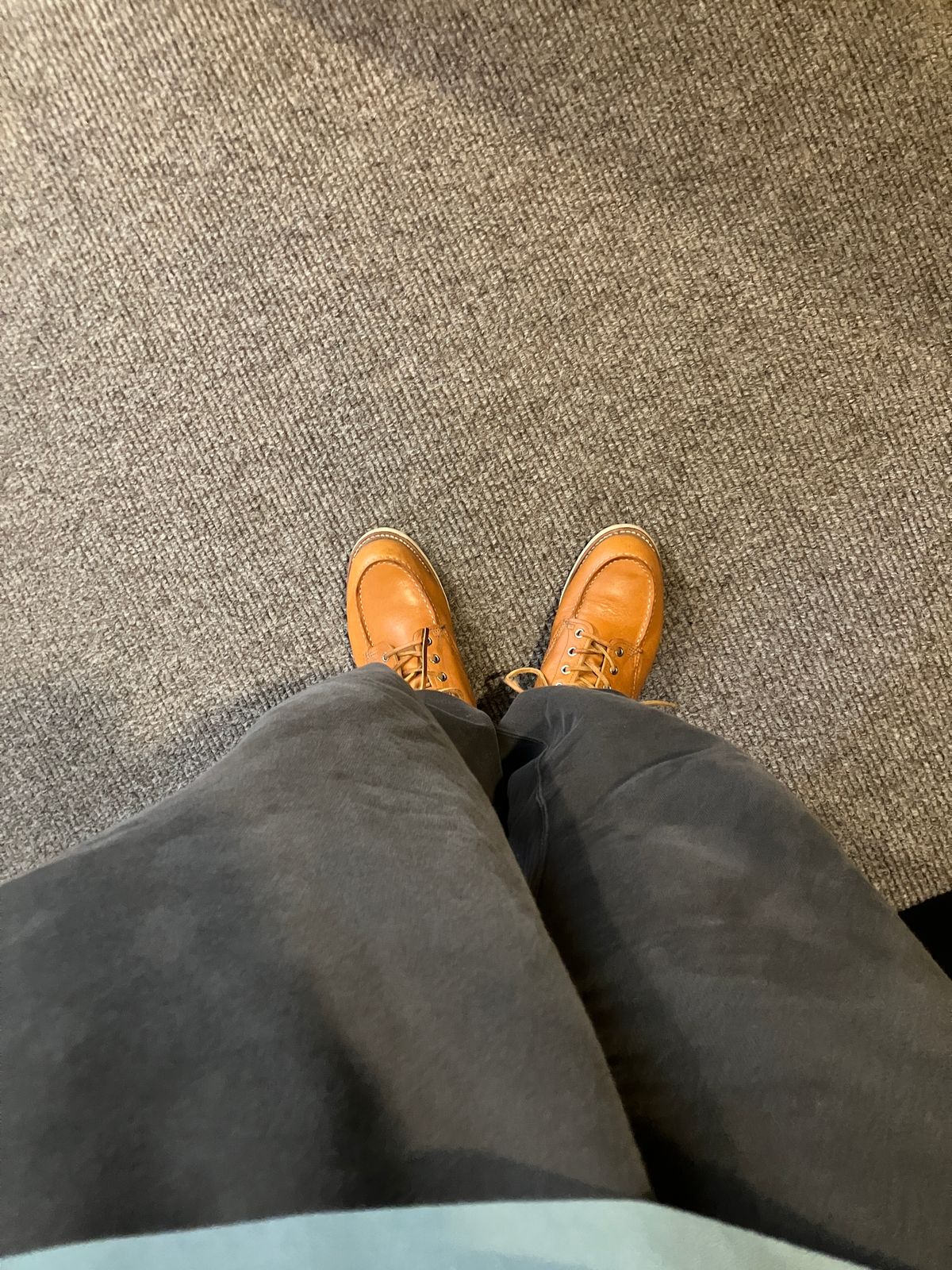 Photo by maru on June 8, 2025 of the Red Wing 6-Inch Classic Moc in S.B. Foot Sequoia Gold Russet.
