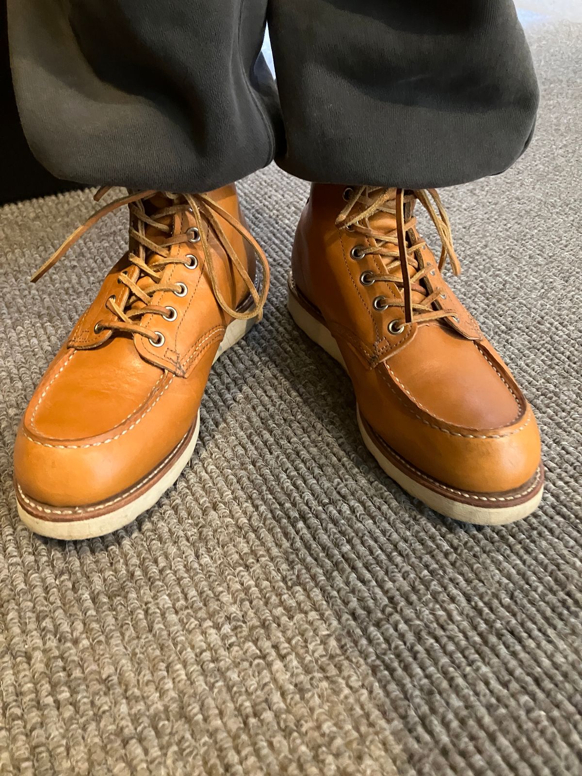 Photo by maru on June 8, 2025 of the Red Wing 6-Inch Classic Moc in S.B. Foot Sequoia Gold Russet.