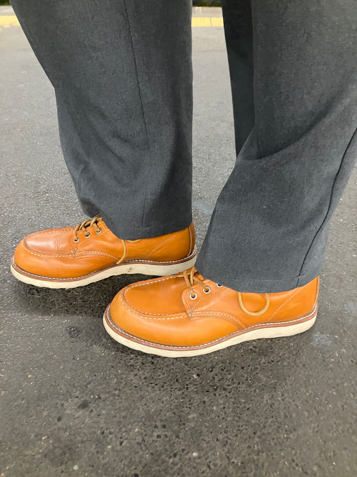 Photo by maru on June 4, 2025 of the Red Wing 6-Inch Classic Moc in S.B. Foot Sequoia Gold Russet.
