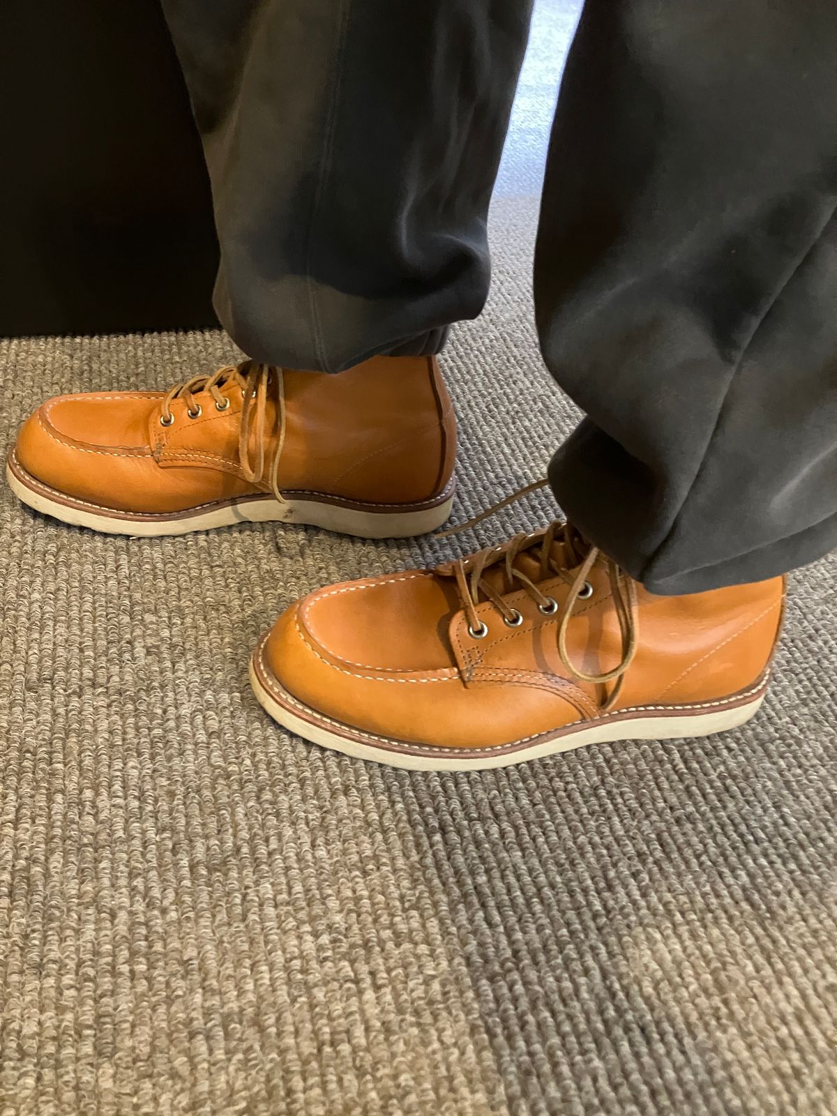 Photo by maru on June 8, 2025 of the Red Wing 6-Inch Classic Moc in S.B. Foot Sequoia Gold Russet.