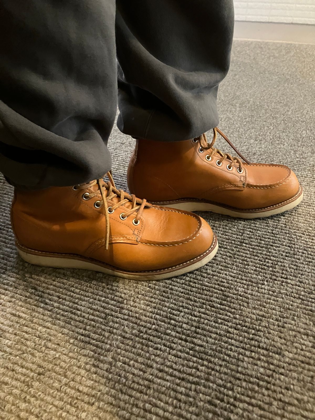 Photo by maru on June 8, 2025 of the Red Wing 6-Inch Classic Moc in S.B. Foot Sequoia Gold Russet.