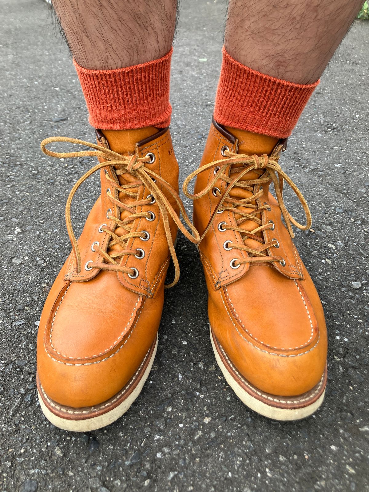 Photo by maru on July 6, 2025 of the Red Wing 6-Inch Classic Moc in S.B. Foot Sequoia Gold Russet.