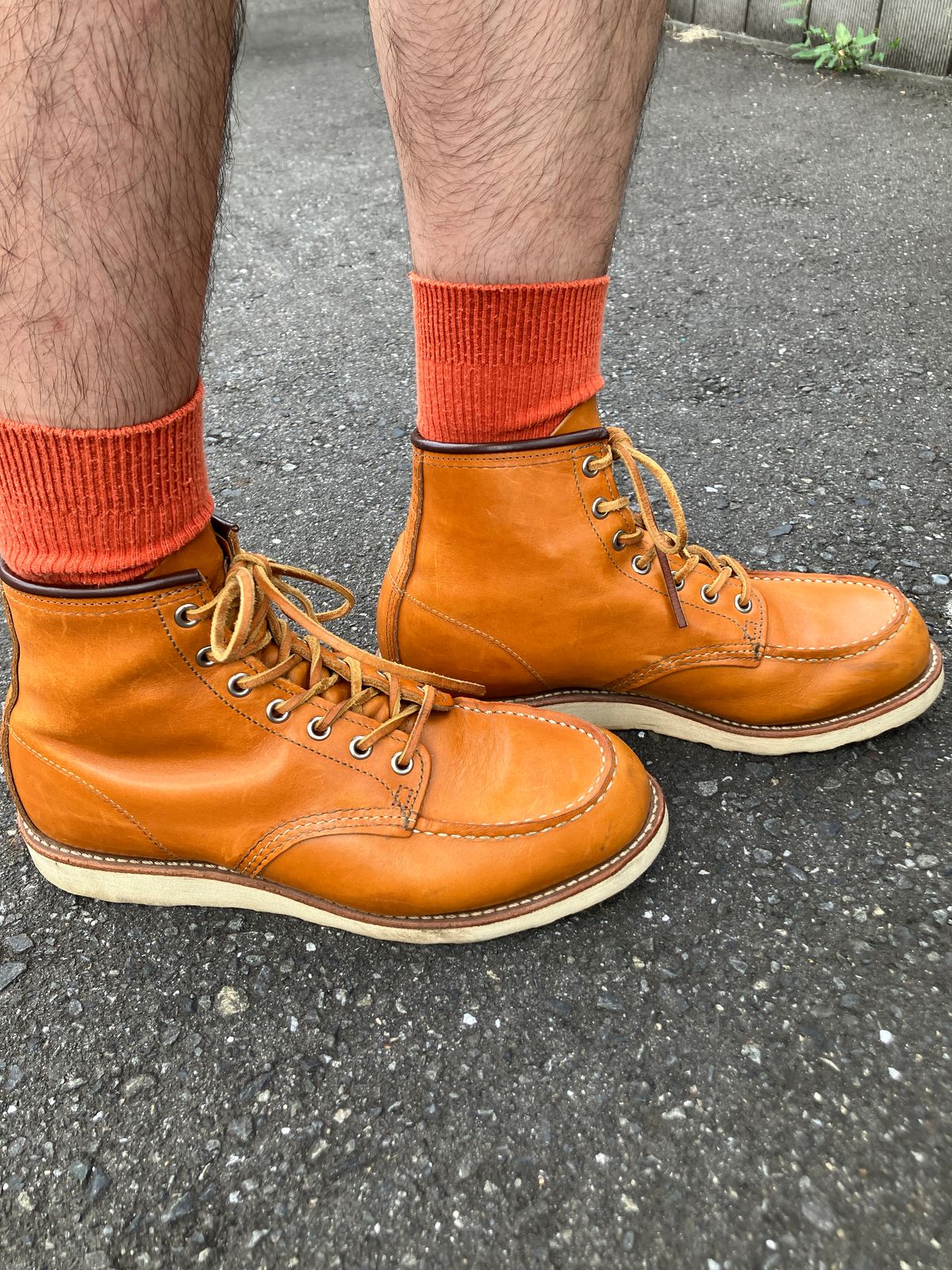 Photo by maru on July 6, 2025 of the Red Wing 6-Inch Classic Moc in S.B. Foot Sequoia Gold Russet.