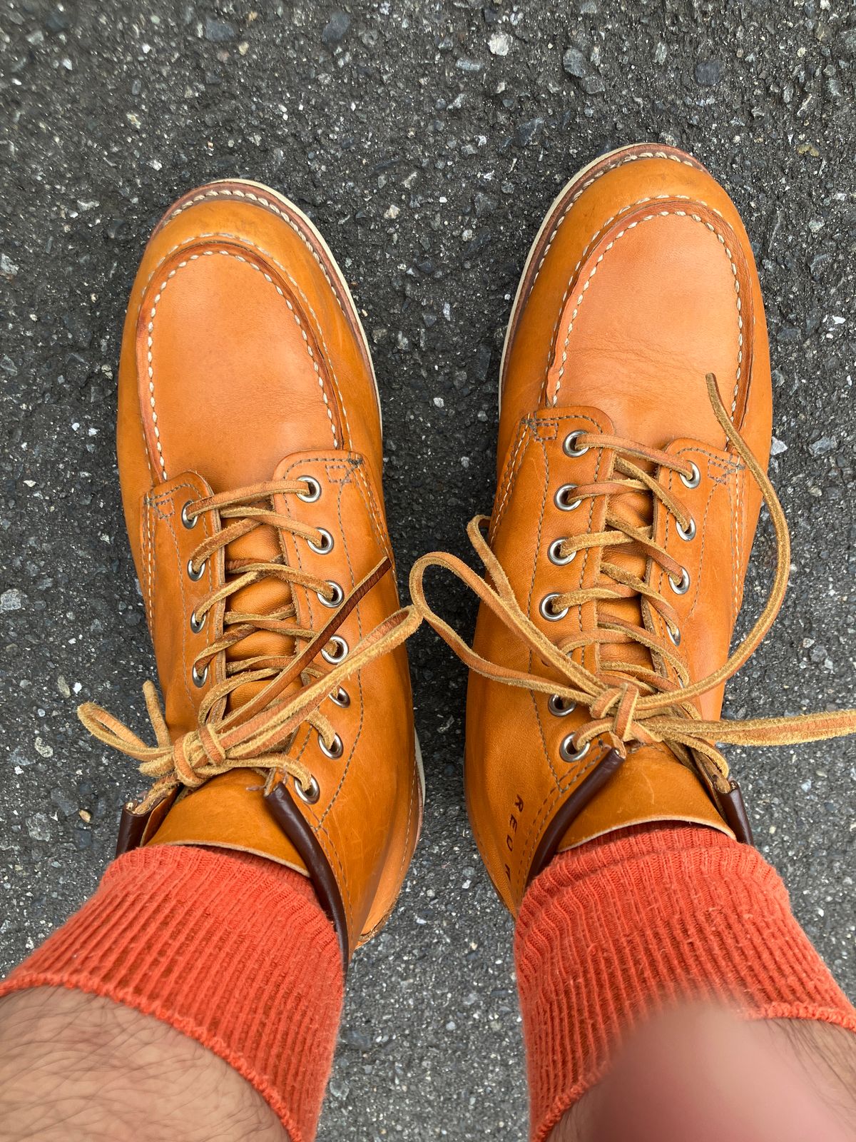 Photo by maru on July 6, 2025 of the Red Wing 6-Inch Classic Moc in S.B. Foot Sequoia Gold Russet.