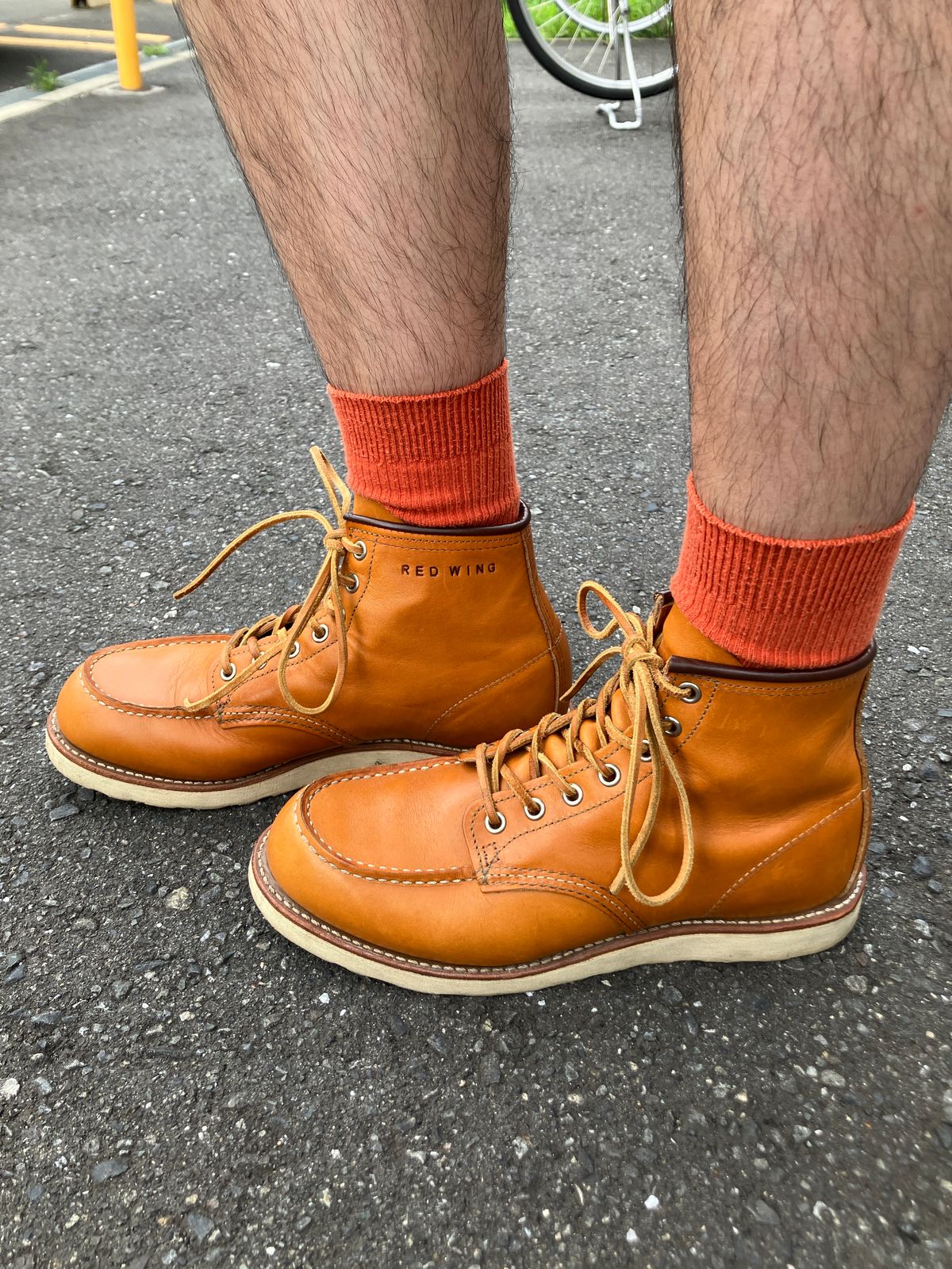 Photo by maru on July 6, 2025 of the Red Wing 6-Inch Classic Moc in S.B. Foot Sequoia Gold Russet.