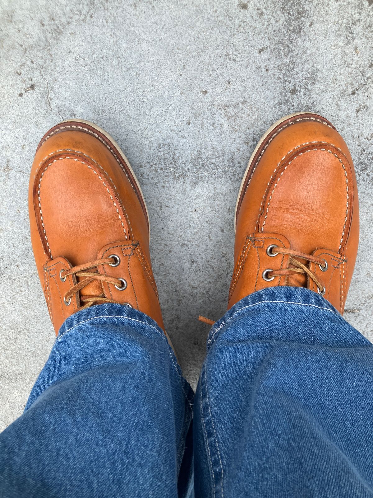 Photo by maru on July 12, 2025 of the Red Wing 6-Inch Classic Moc in S.B. Foot Sequoia Gold Russet.