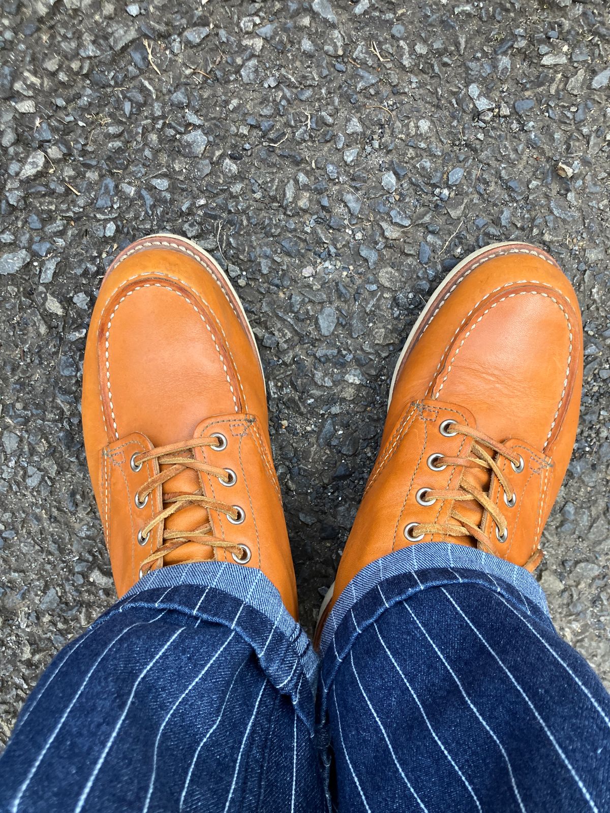 Photo by maru on June 28, 2025 of the Red Wing 6-Inch Classic Moc in S.B. Foot Sequoia Gold Russet.