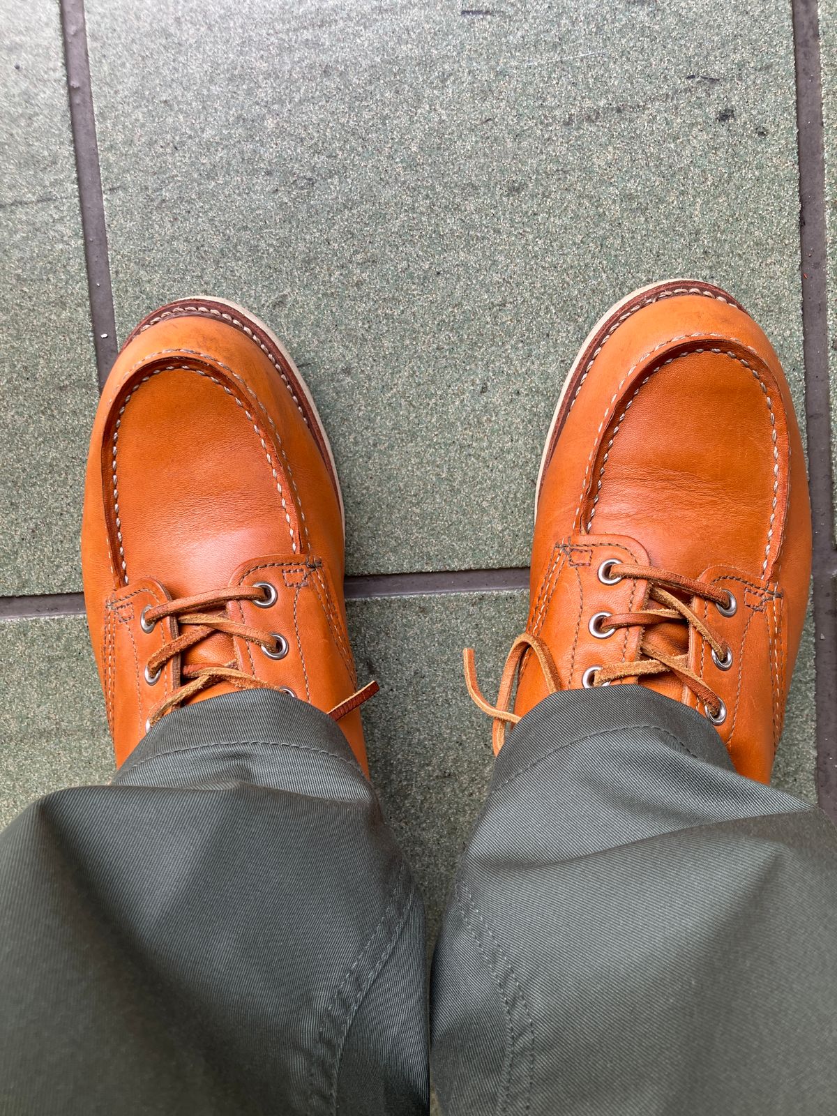 Photo by maru on July 3, 2025 of the Red Wing 6-Inch Classic Moc in S.B. Foot Sequoia Gold Russet.
