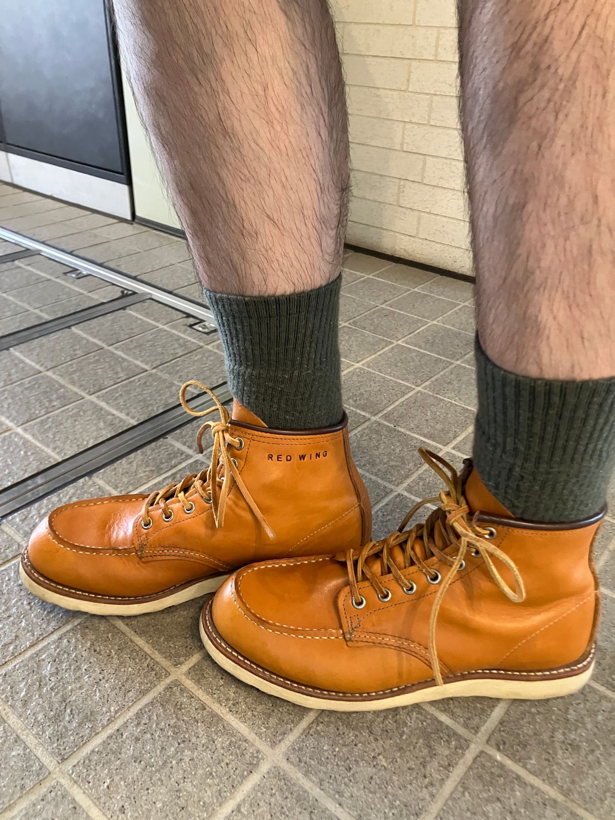 Photo by maru on July 18, 2025 of the Red Wing 6-Inch Classic Moc in S.B. Foot Sequoia Gold Russet.