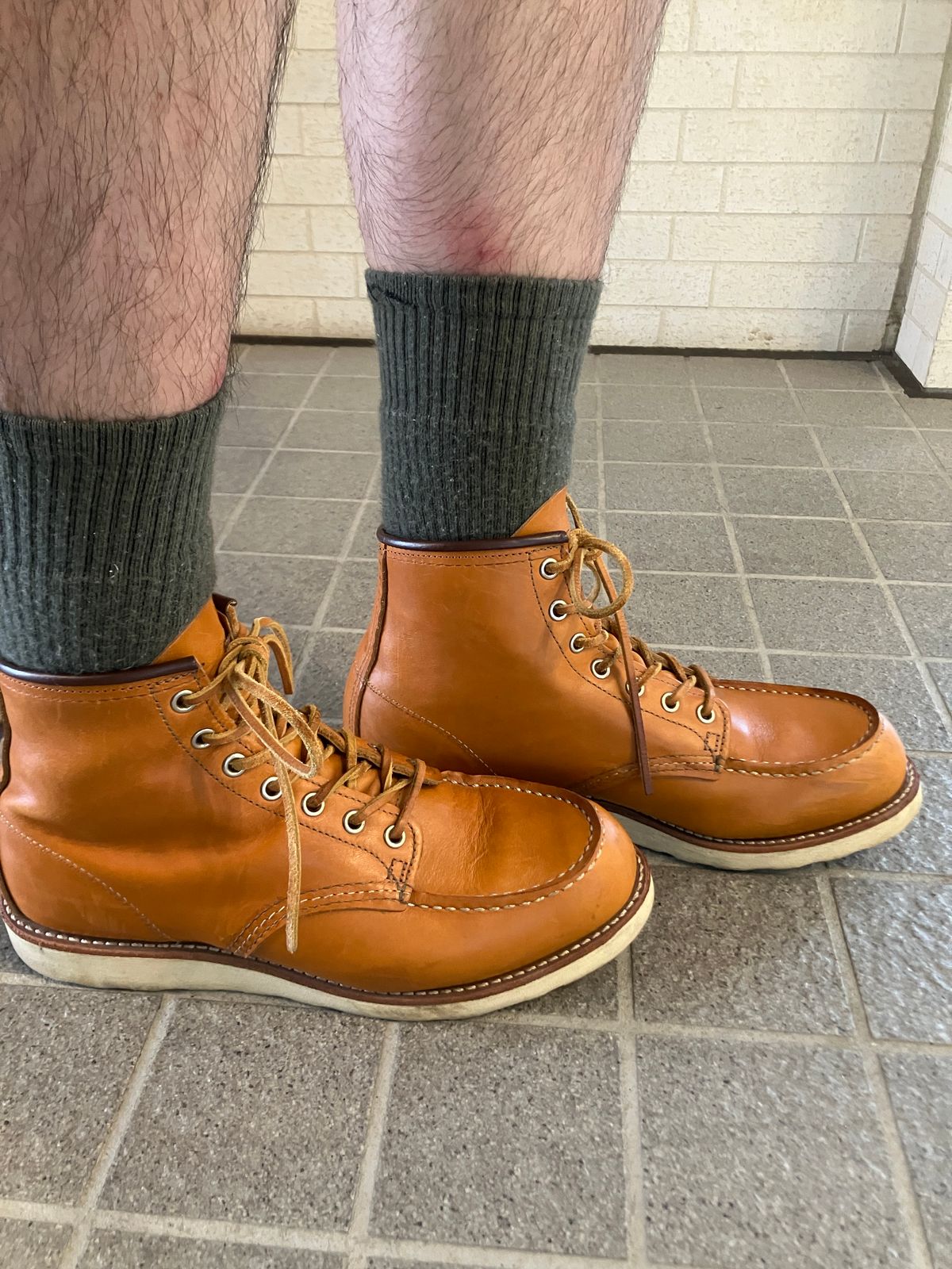 Photo by maru on July 18, 2025 of the Red Wing 6-Inch Classic Moc in S.B. Foot Sequoia Gold Russet.