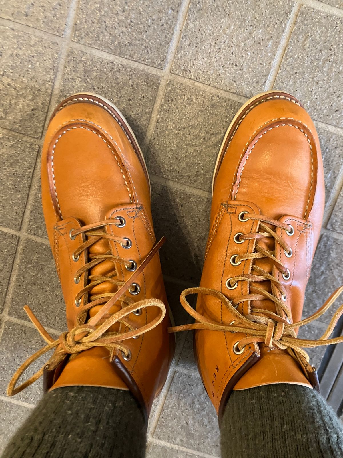Photo by maru on July 18, 2025 of the Red Wing 6-Inch Classic Moc in S.B. Foot Sequoia Gold Russet.