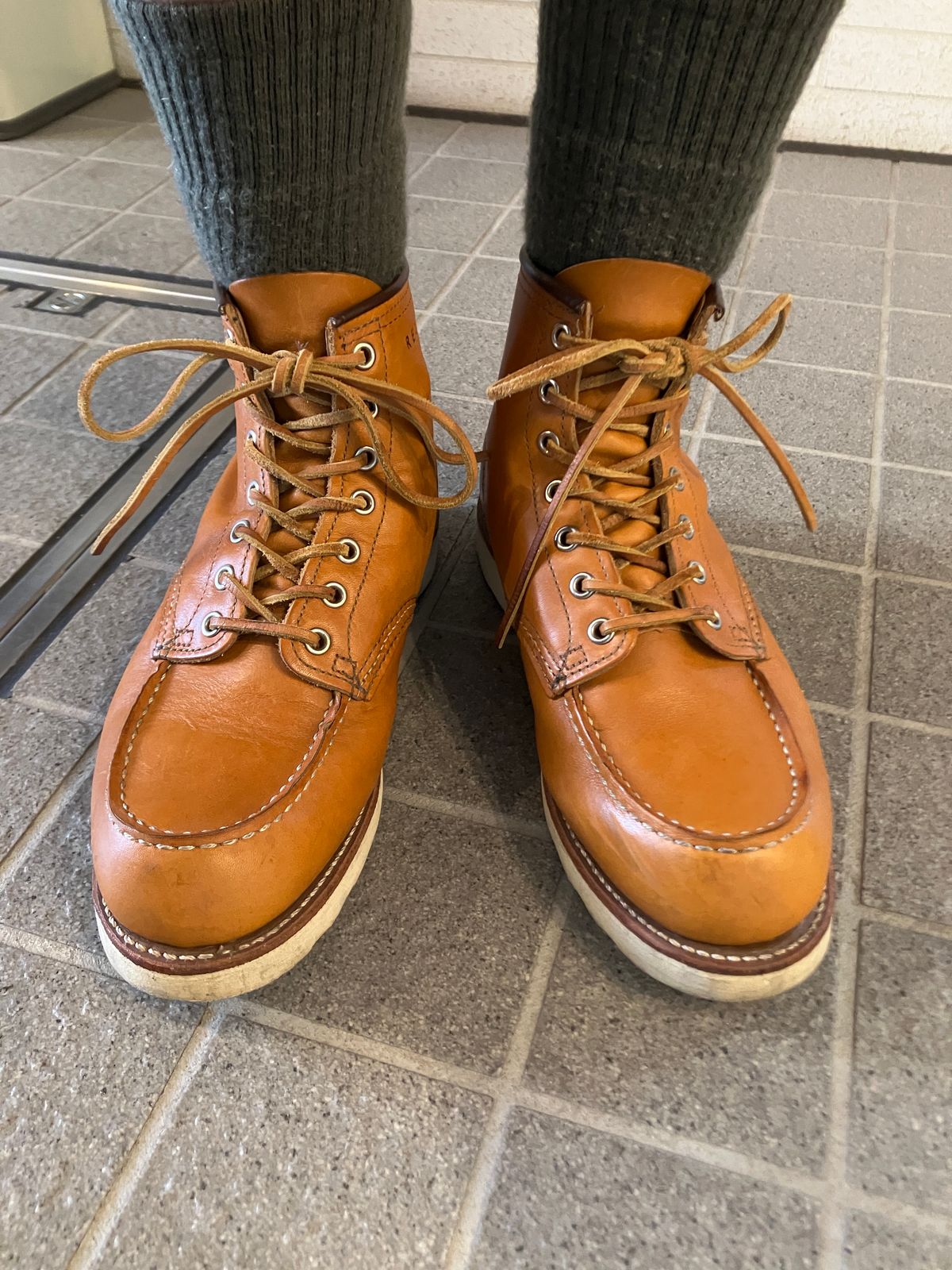 Photo by maru on July 18, 2025 of the Red Wing 6-Inch Classic Moc in S.B. Foot Sequoia Gold Russet.