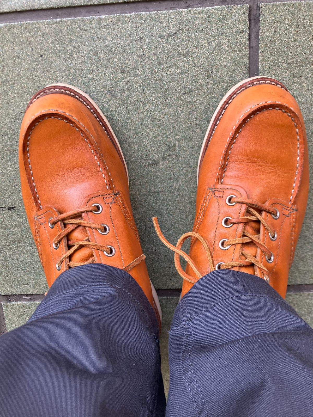 Photo by maru on July 28, 2025 of the Red Wing 6-Inch Classic Moc in S.B. Foot Sequoia Gold Russet.