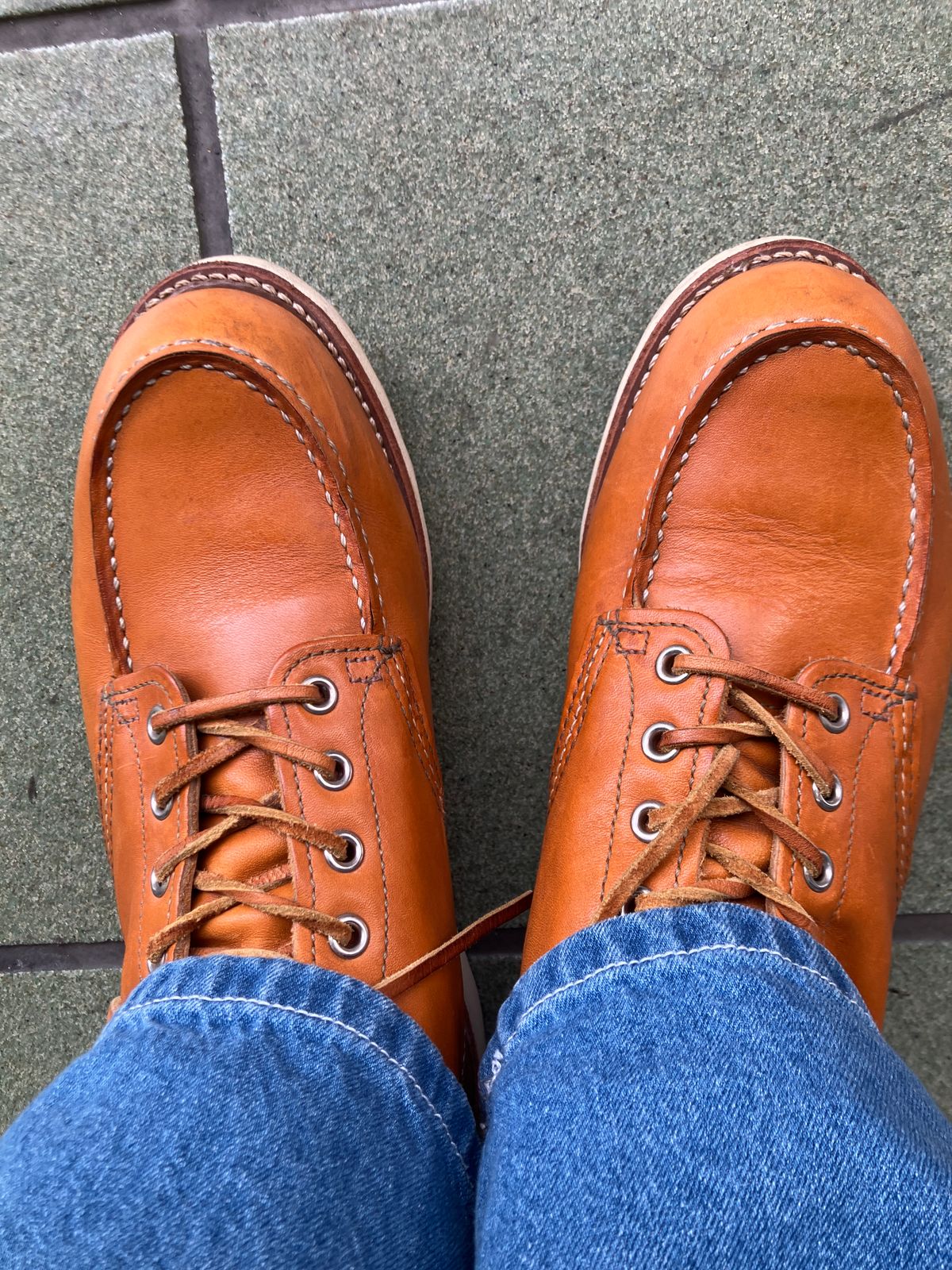 Photo by maru on August 7, 2025 of the Red Wing 6-Inch Classic Moc in S.B. Foot Sequoia Gold Russet.