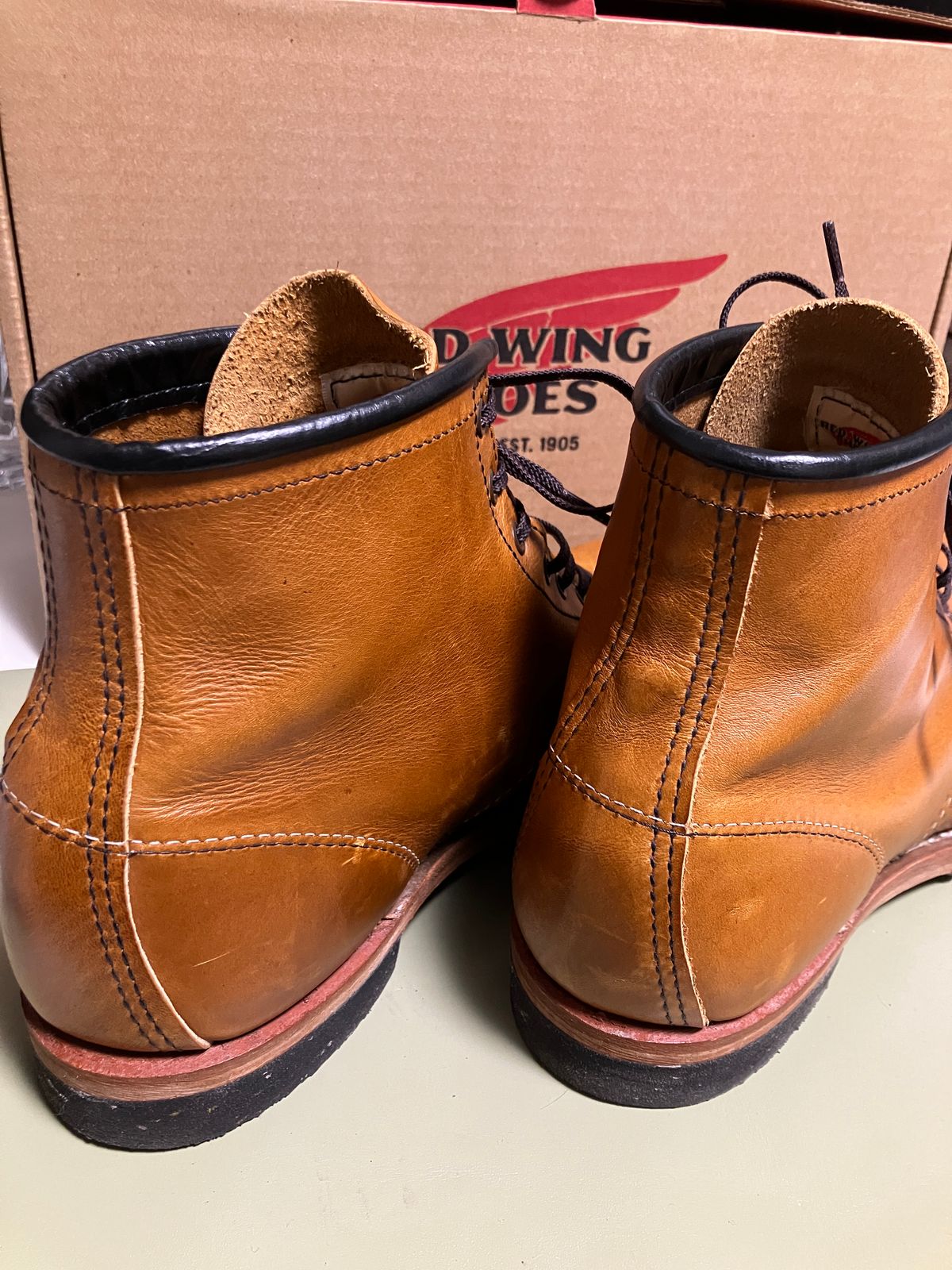 Photo by maru on January 29, 2025 of the Red Wing Beckman in S.B. Foot Chestnut Featherstone.