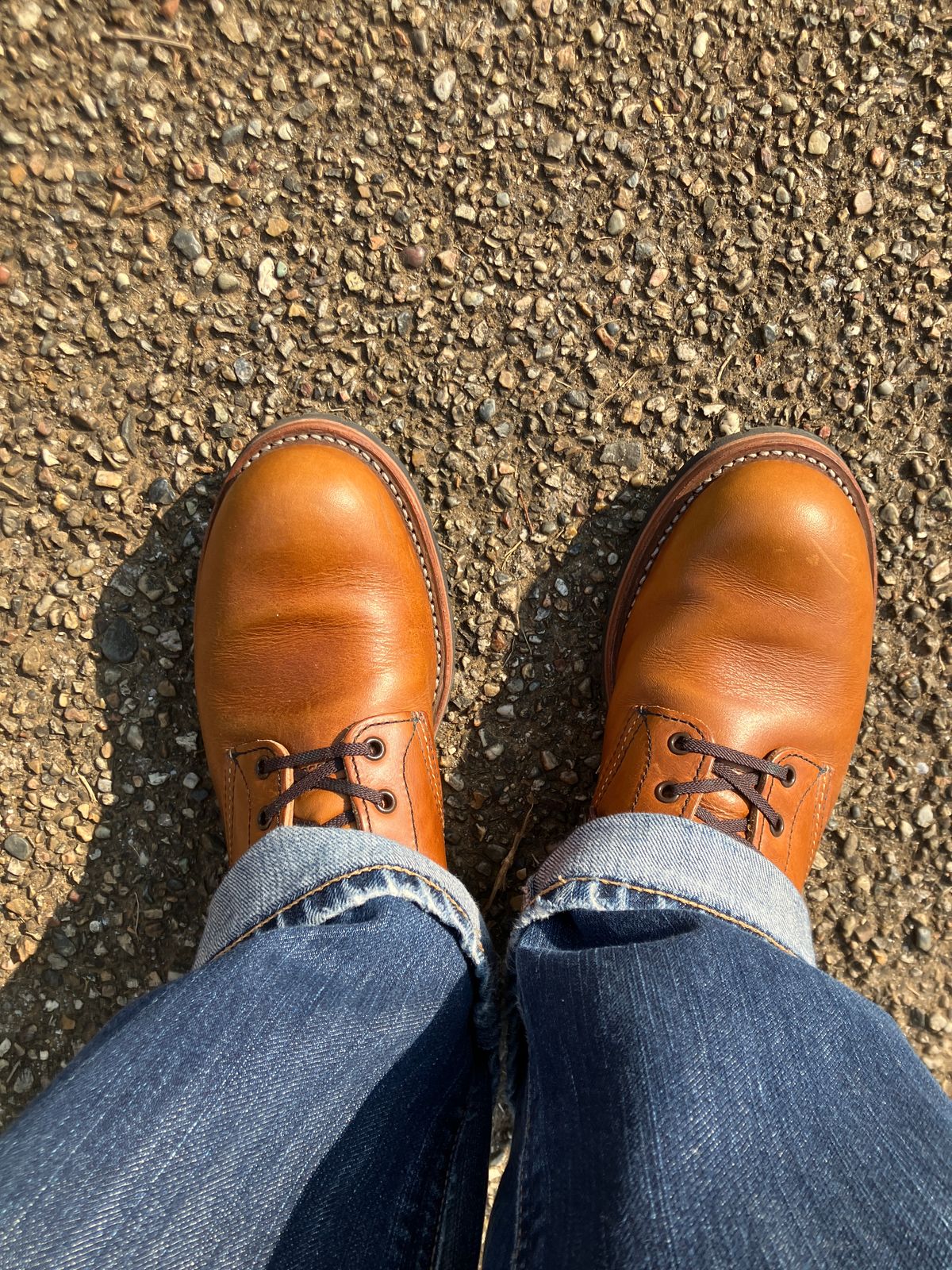 Photo by maru on March 23, 2025 of the Red Wing Beckman in S.B. Foot Chestnut Featherstone.