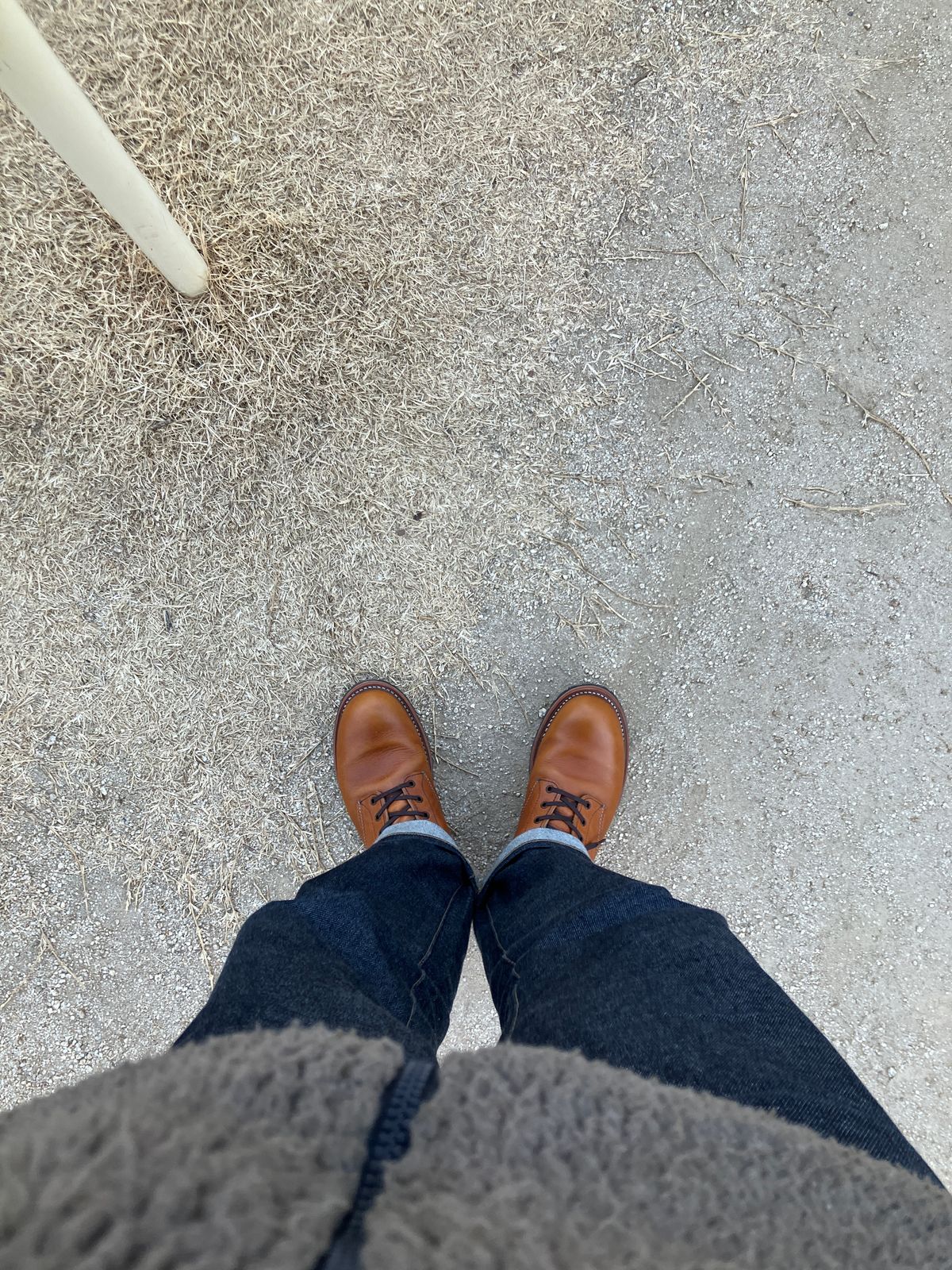 Photo by maru on February 24, 2025 of the Red Wing Beckman in S.B. Foot Chestnut Featherstone.