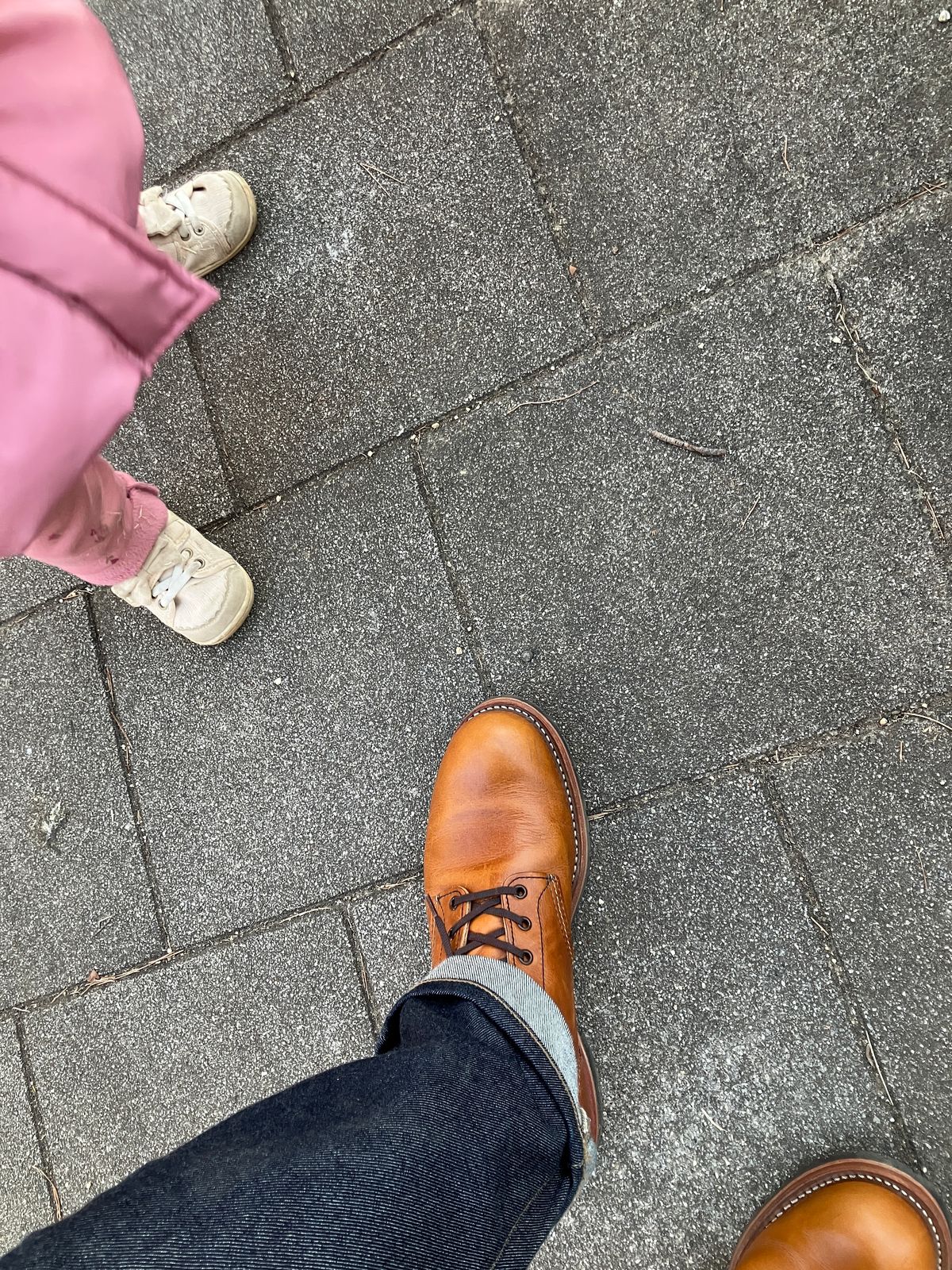 Photo by maru on February 24, 2025 of the Red Wing Beckman in S.B. Foot Chestnut Featherstone.