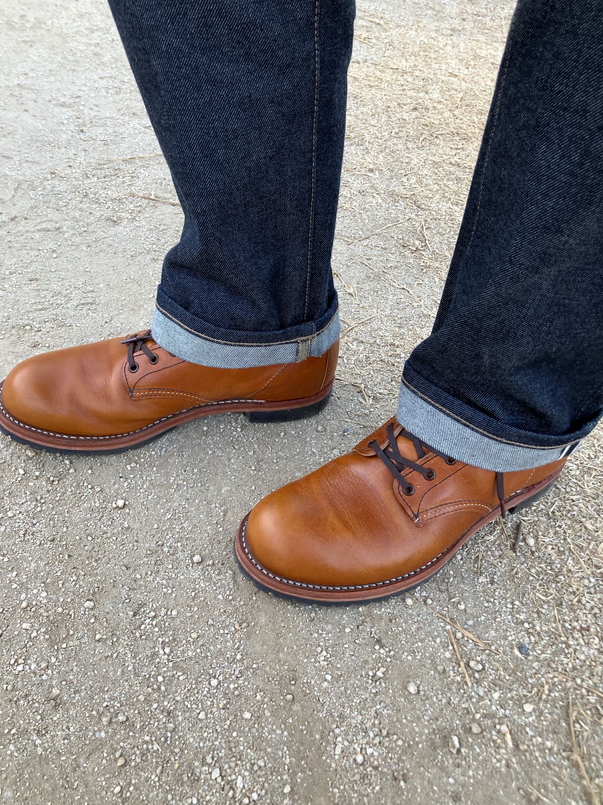 Photo by maru on February 24, 2025 of the Red Wing Beckman in S.B. Foot Chestnut Featherstone.