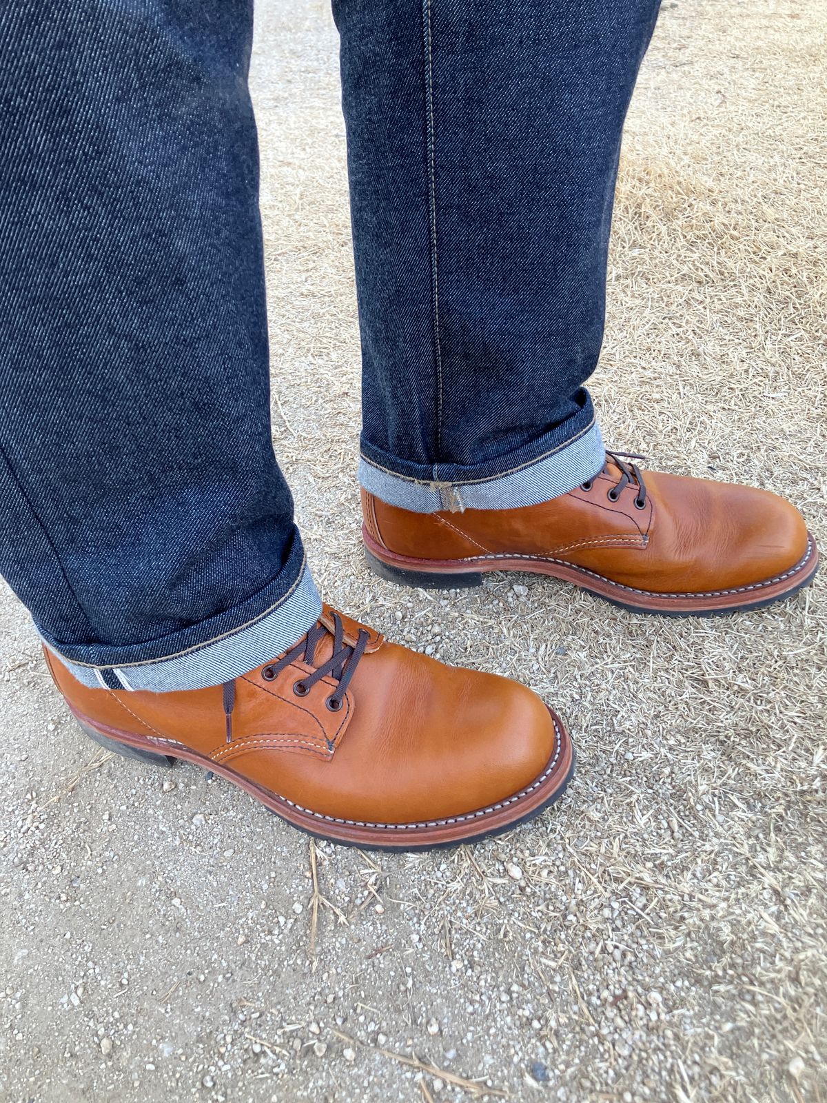 Photo by maru on February 24, 2025 of the Red Wing Beckman in S.B. Foot Chestnut Featherstone.