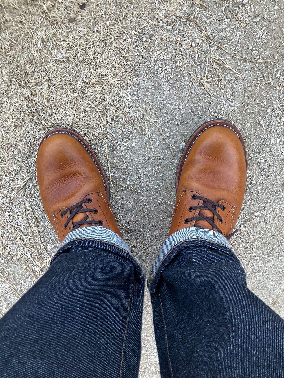 Photo by maru on February 24, 2025 of the Red Wing Beckman in S.B. Foot Chestnut Featherstone.