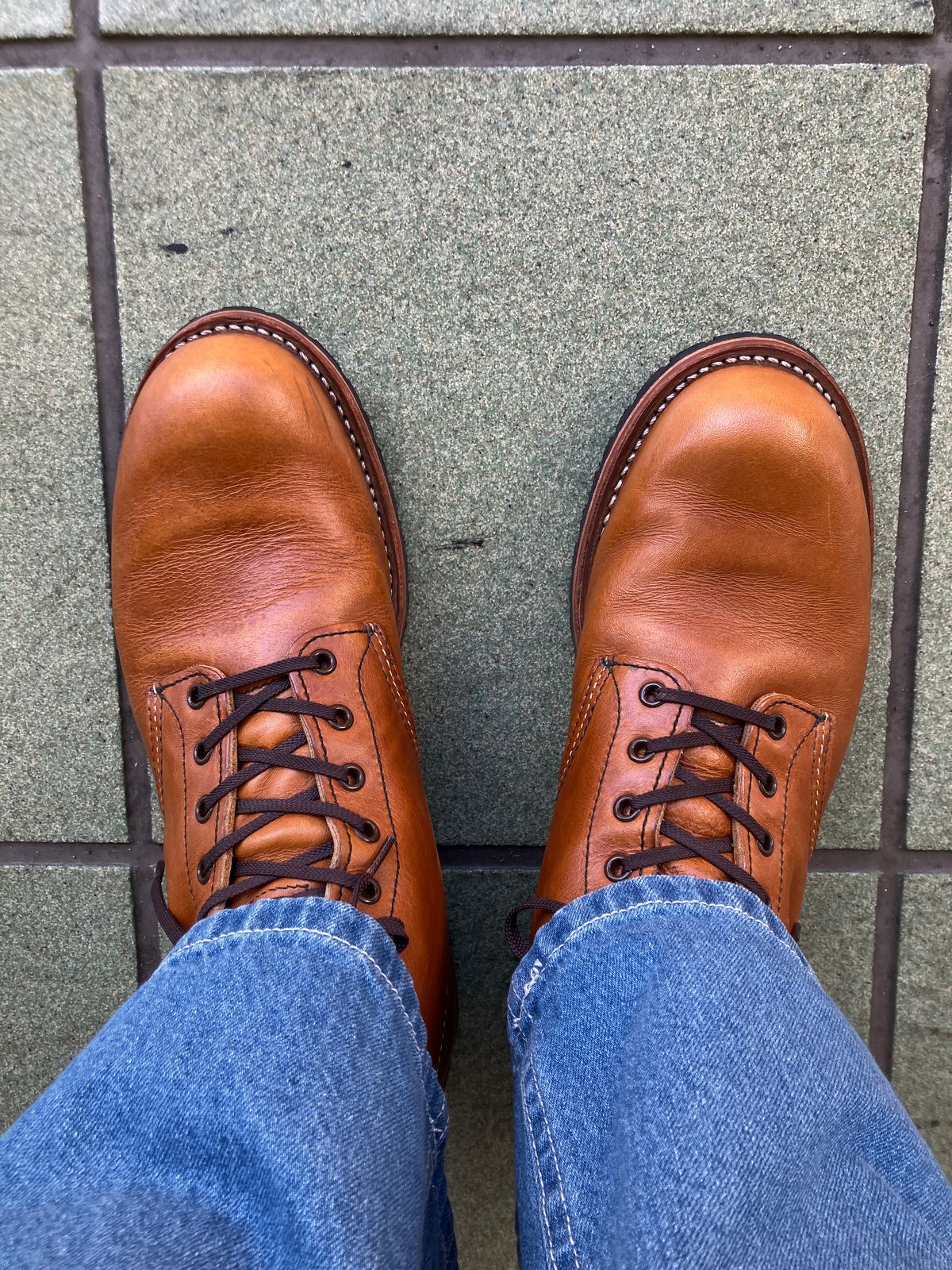Photo by maru on April 16, 2025 of the Red Wing Beckman in S.B. Foot Chestnut Featherstone.