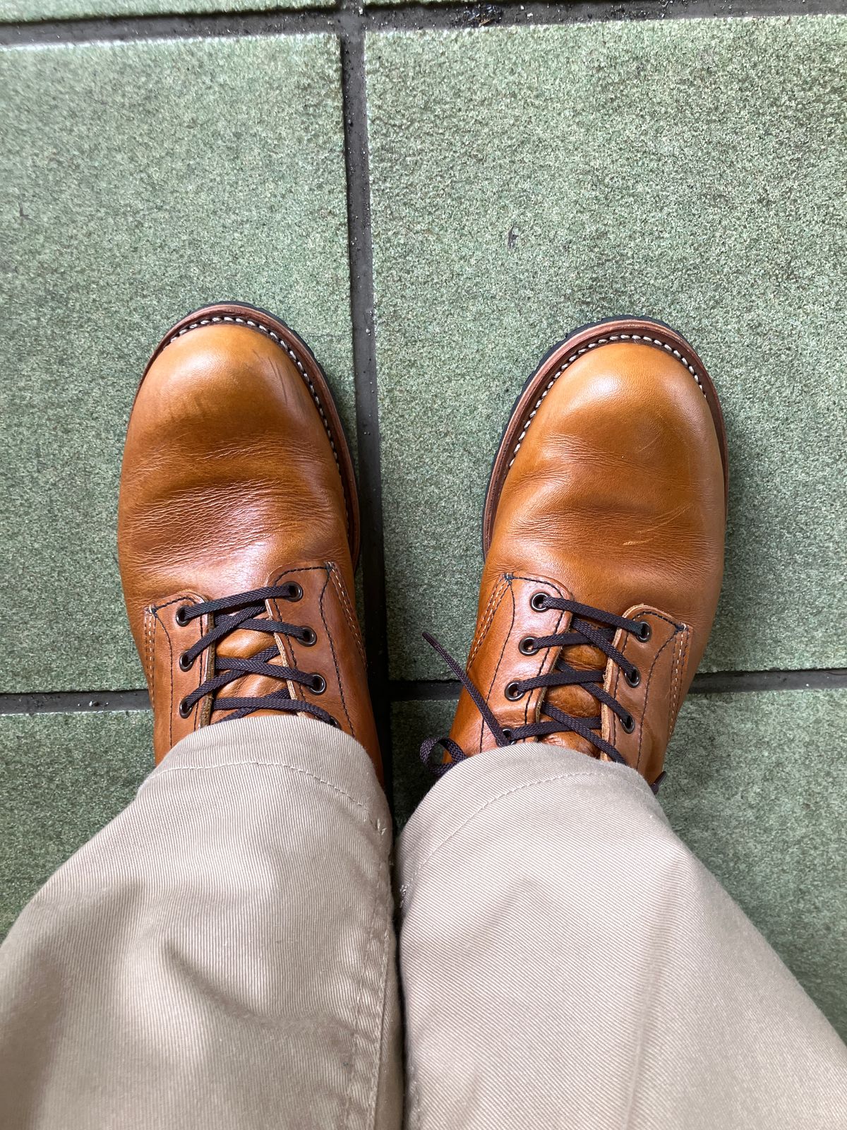 Photo by maru on May 26, 2025 of the Red Wing Beckman in S.B. Foot Chestnut Featherstone.