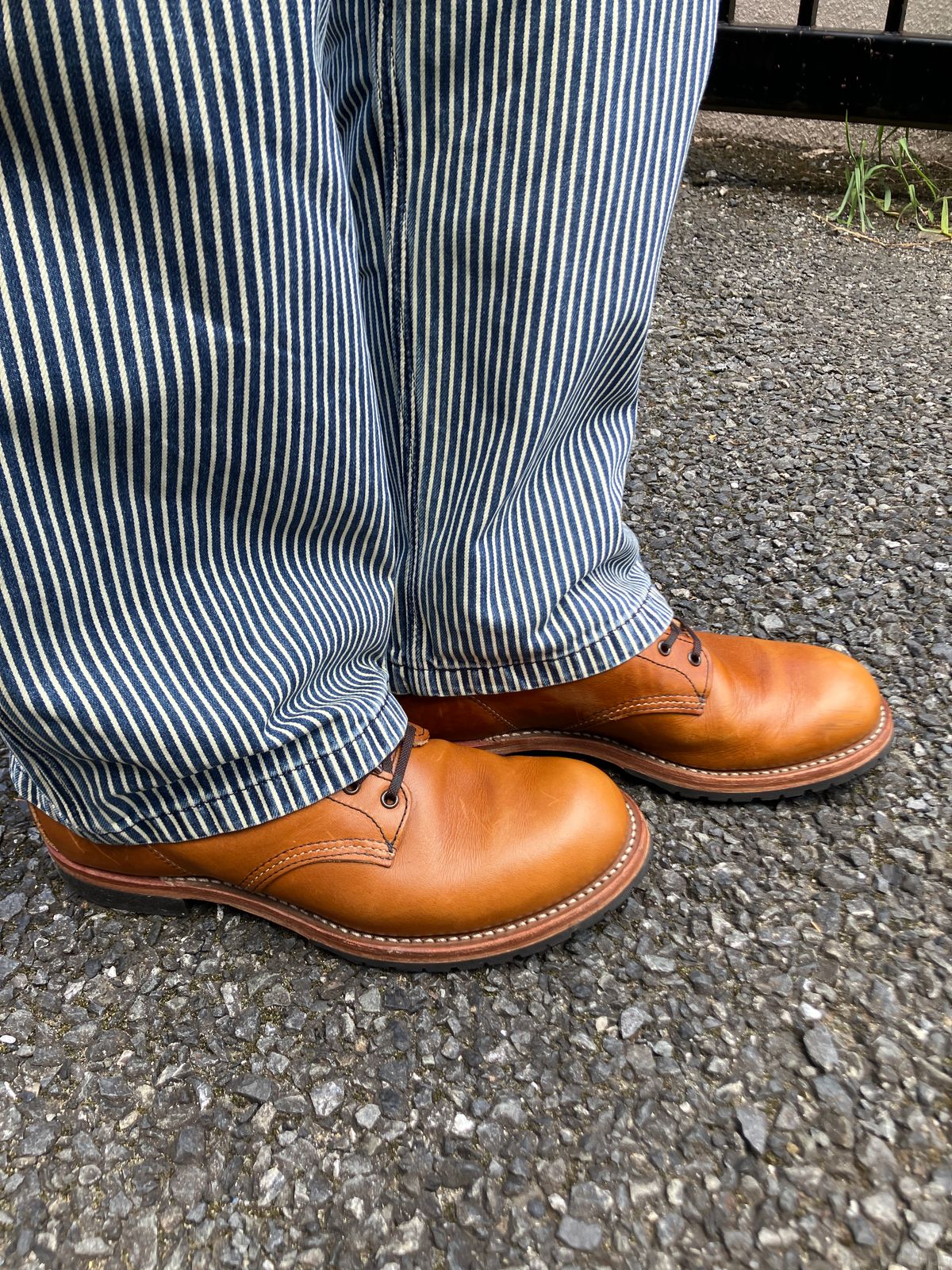 Photo by maru on July 20, 2025 of the Red Wing Beckman in S.B. Foot Chestnut Featherstone.