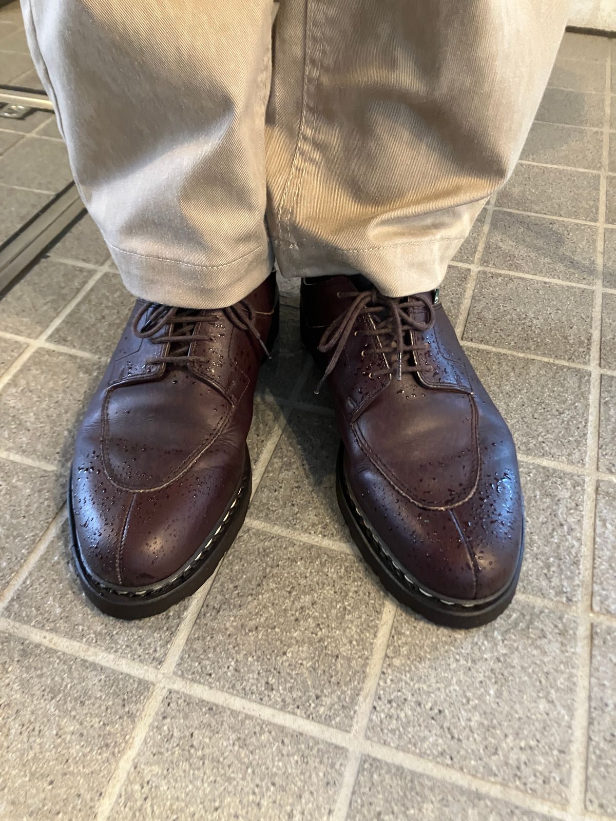 Photo by maru on July 15, 2025 of the Paraboot Avignon in Lisse Cafe.