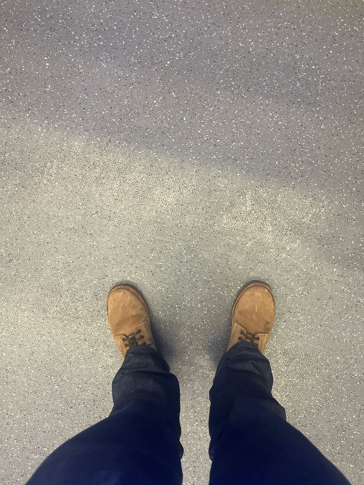 Photo by LA999 on December 18, 2024 of the Oak Street Bootmakers Field Boot in Horween Marine Field Roughout.