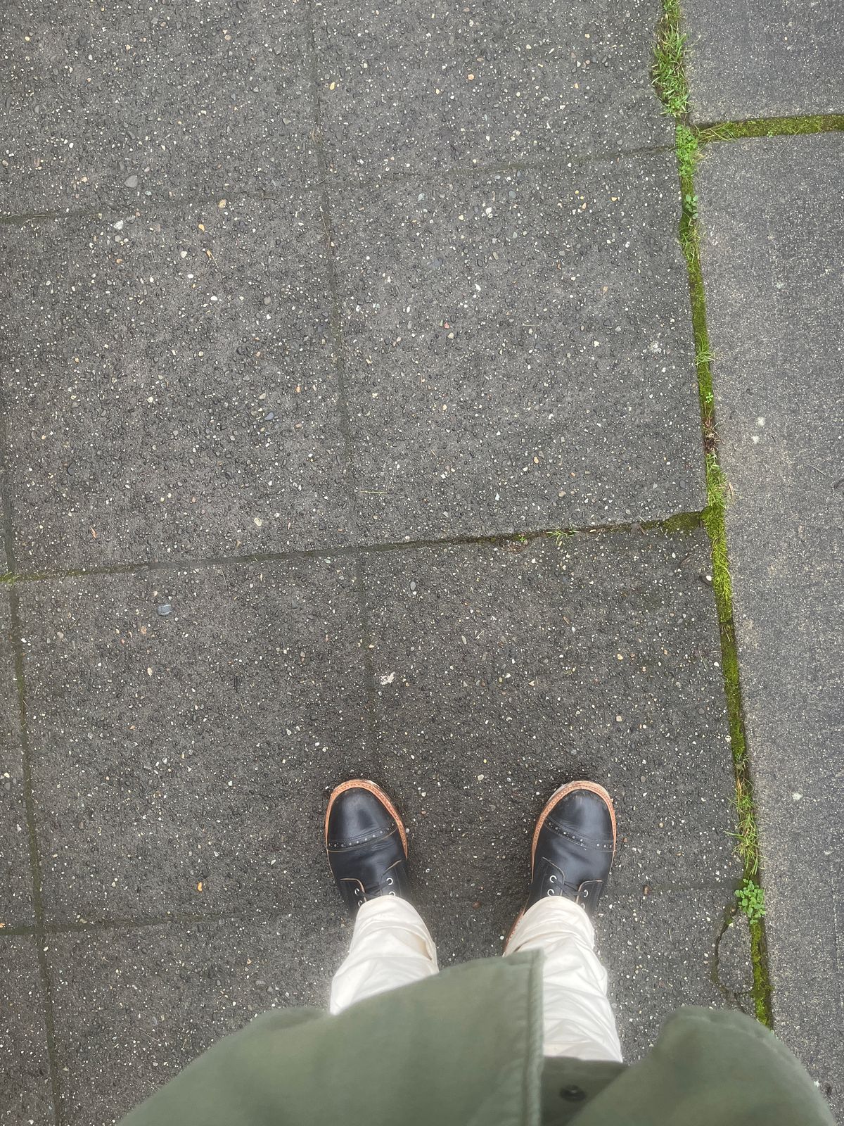 Photo by LA999 on January 2, 2025 of the Oak Street Bootmakers Field Boot in Horween Black Teacore Chromexcel & Horween Black Chromexcel.