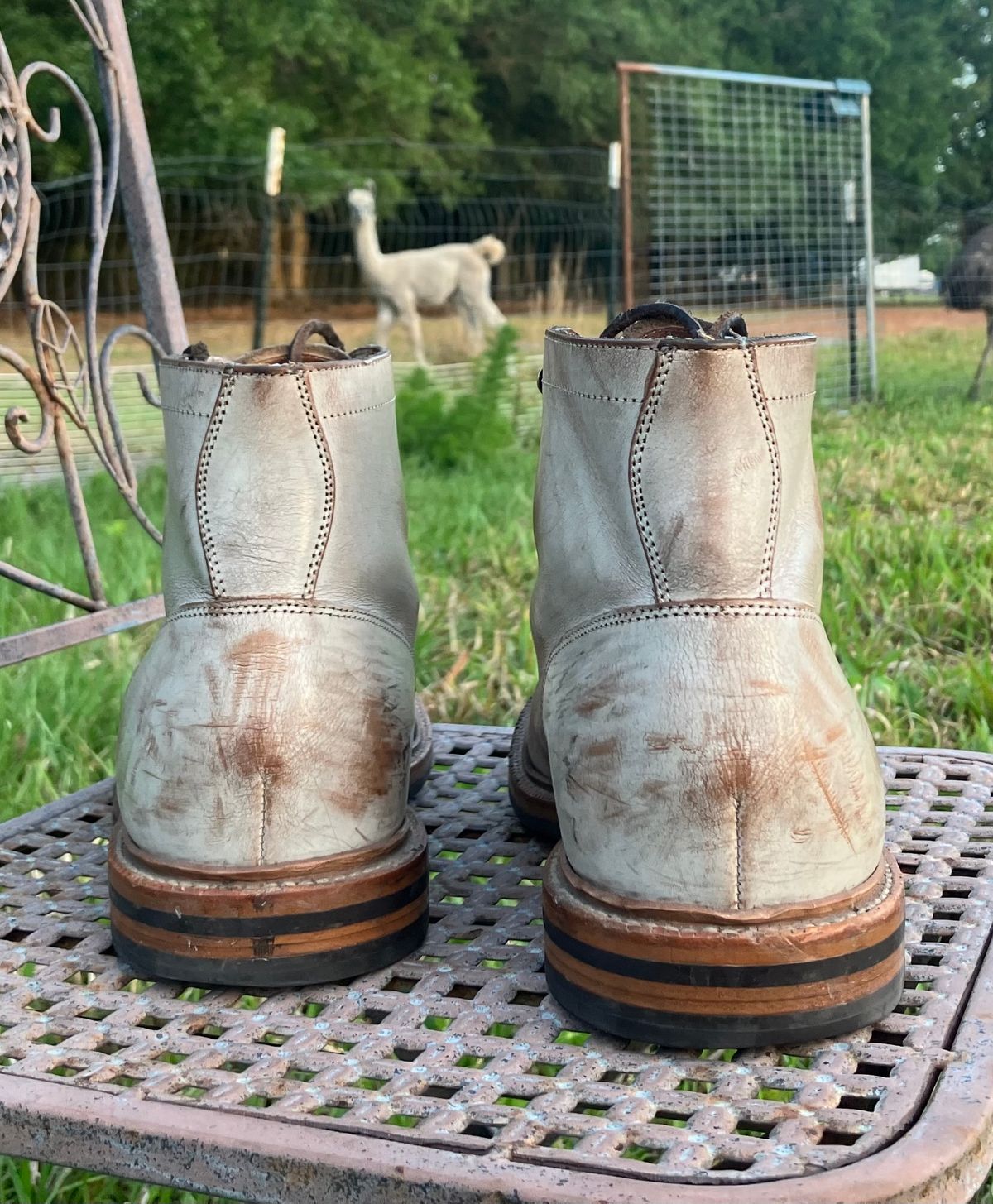 Photo by idestroyboots on April 20, 2025 of the Grant Stone Diesel Boot in Conceria Walpier Ghost Buttero.