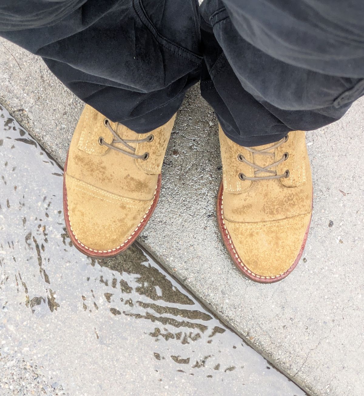 Photo by Mouse on November 13, 2025 of the Truman Cap Toe Boot in Coyote Roughout.