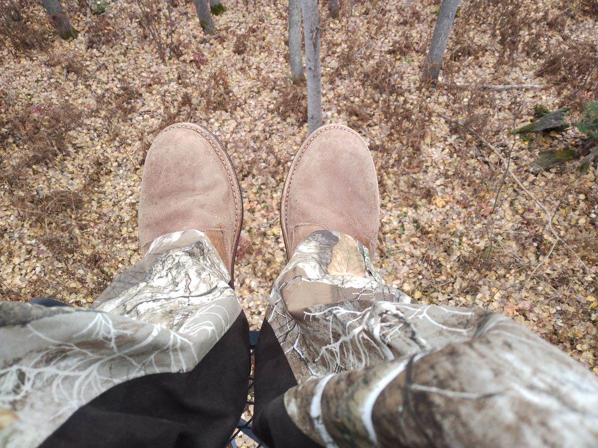 Photo by drew_gruff on October 23, 2024 of the Oak Street Bootmakers Trench Boot in Maryam Muschio Cavallo.