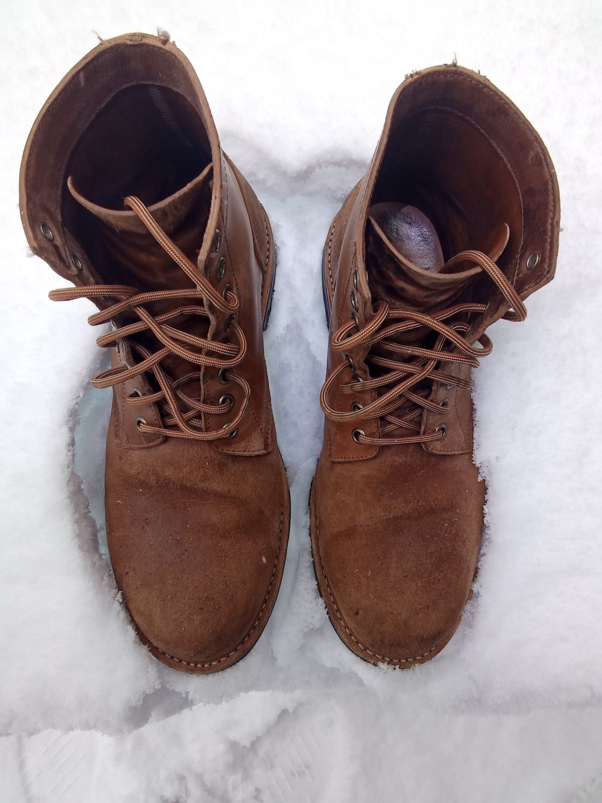 Photo by drew_gruff on December 1, 2024 of the Oak Street Bootmakers Trench Boot in Maryam Muschio Cavallo.