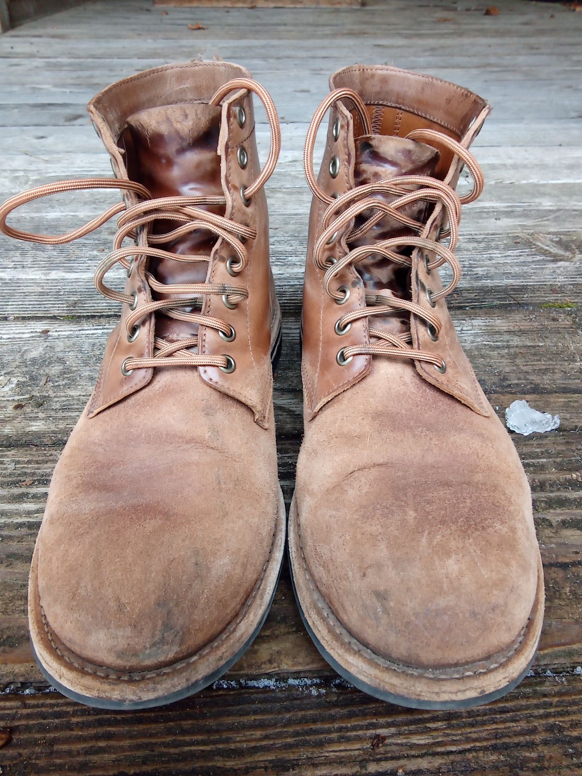 Photo by drew_gruff on April 2, 2025 of the Oak Street Bootmakers Trench Boot in Maryam Muschio Cavallo.