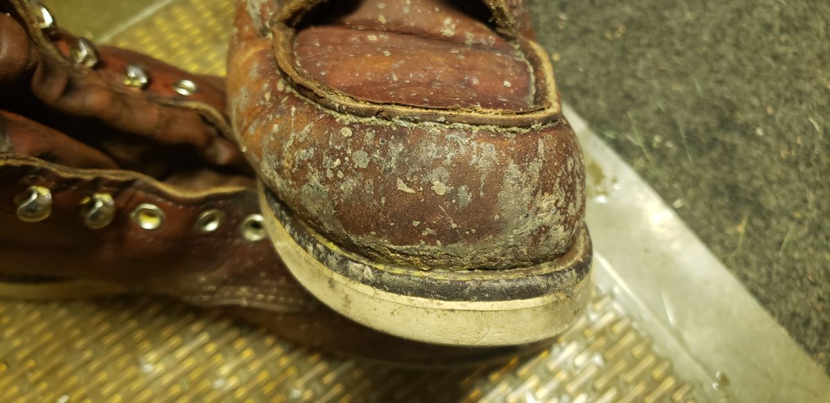 Photo by Phil_ejac on June 13, 2022 of the Red Wing 6-Inch Classic Moc in S.B. Foot Oro Legacy.