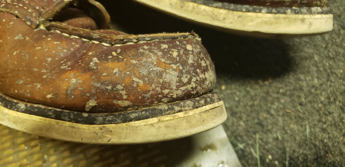 Photo by Phil_ejac on June 13, 2022 of the Red Wing 6-Inch Classic Moc in S.B. Foot Oro Legacy.