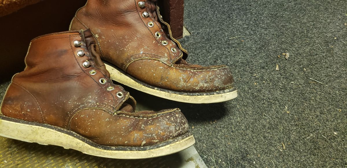 Photo by Phil_ejac on June 13, 2022 of the Red Wing 6-Inch Classic Moc in S.B. Foot Oro Legacy.