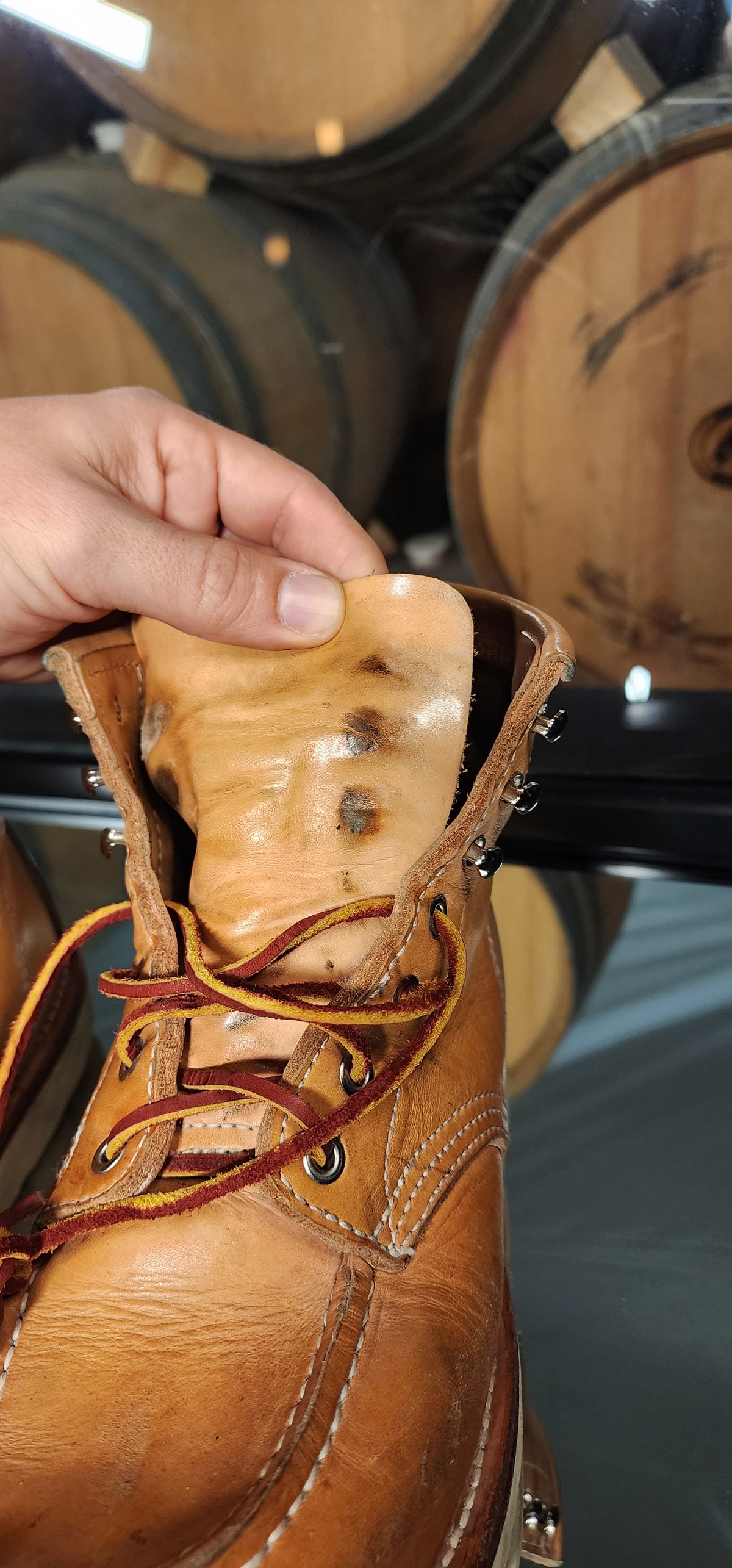 Photo by Phil_ejac on November 3, 2025 of the KIND TENDER Moctoe Boots in Italian Veg-Tanned Leather.