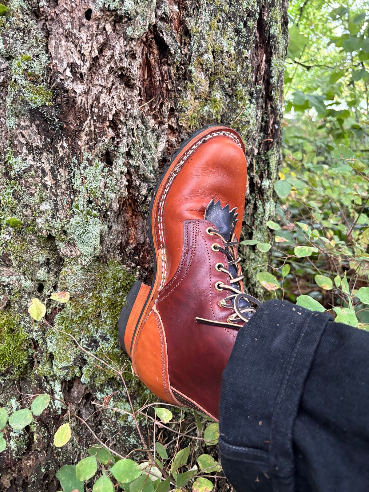 Photo by redmarengo on October 2, 2025 of the Frank's Boots Front Range in Wickett & Craig Chestnut Oiled Latigo & Wickett & Craig Tan Oiled Latigo & Wickett & Craig Navy Traditional Harness.