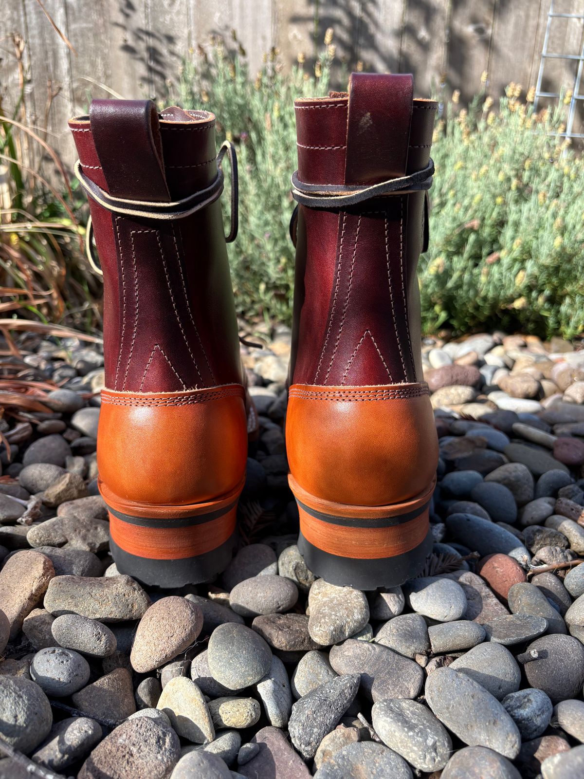 Photo by redmarengo on October 1, 2025 of the Frank's Boots Front Range in Wickett & Craig Chestnut Oiled Latigo & Wickett & Craig Tan Oiled Latigo & Wickett & Craig Navy Traditional Harness.
