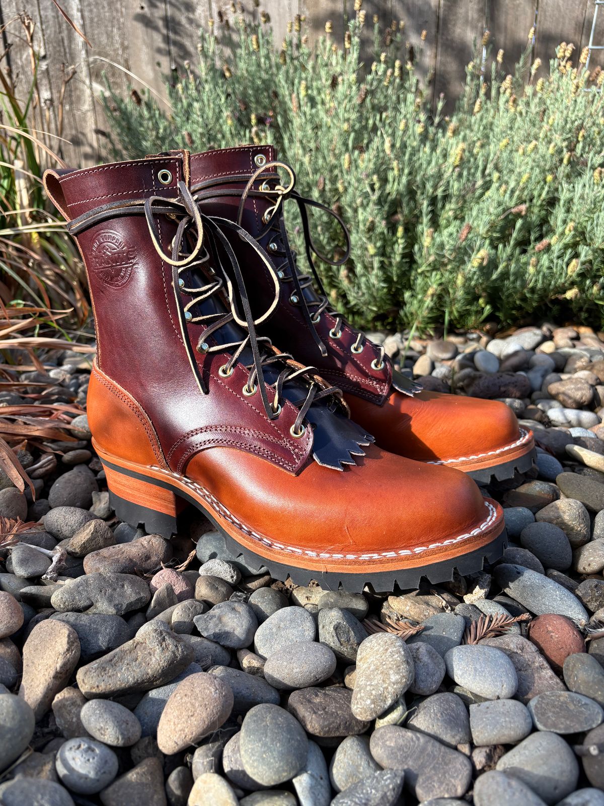 Photo by redmarengo on October 1, 2025 of the Frank's Boots Front Range in Wickett & Craig Chestnut Oiled Latigo & Wickett & Craig Tan Oiled Latigo & Wickett & Craig Navy Traditional Harness.